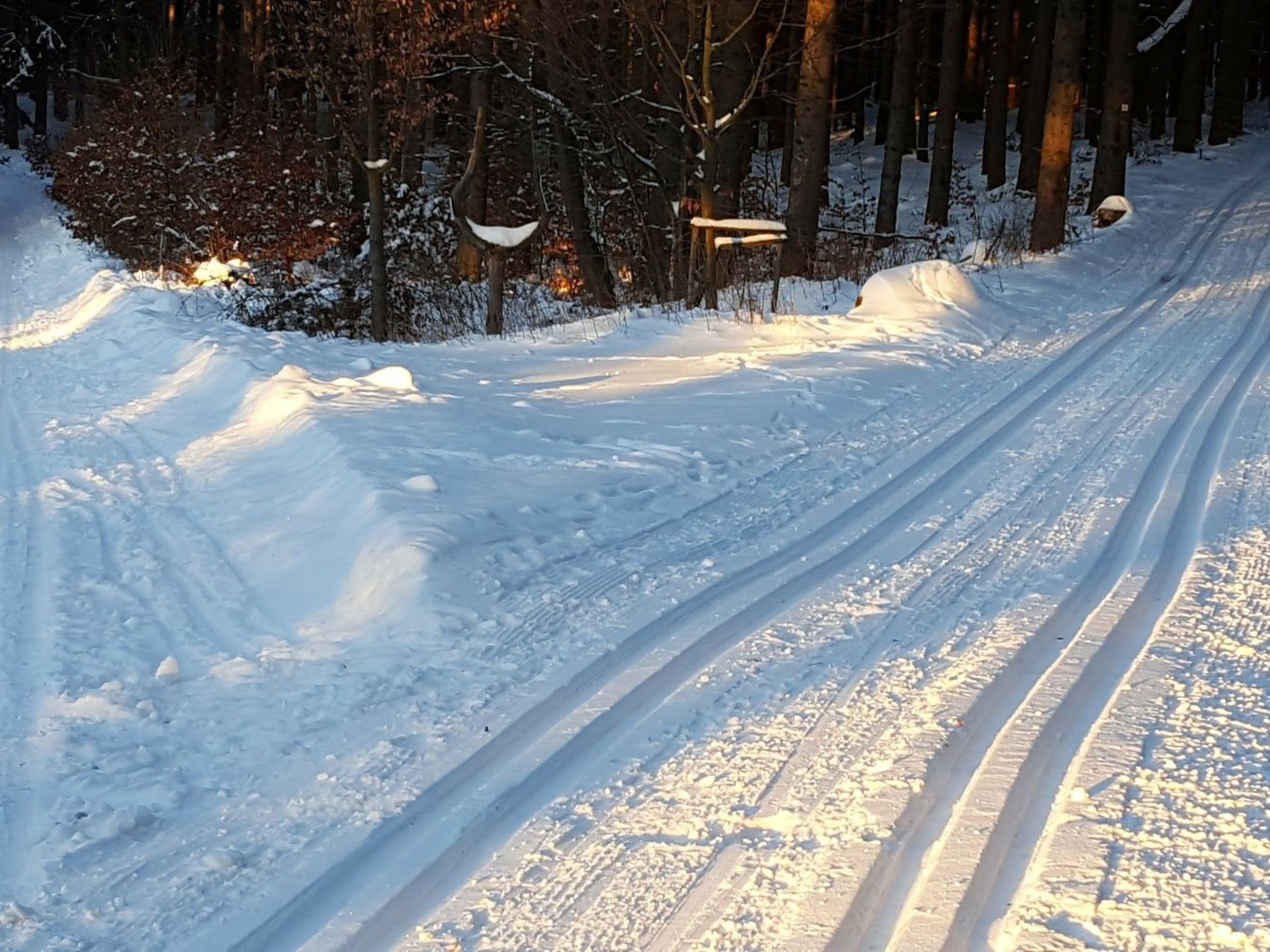 Komfortwohnung-Image-tags.info