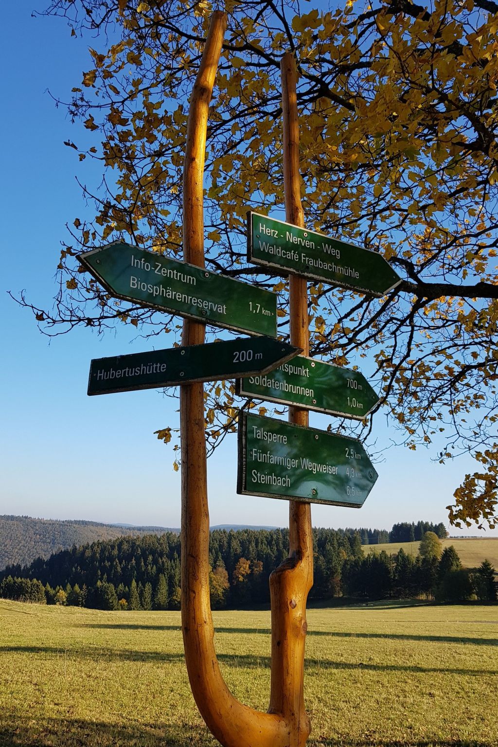 Wunderschönes Ferienhaus in Frauenwald mit Garten, Terrasse und Grill-Image-tags.info
