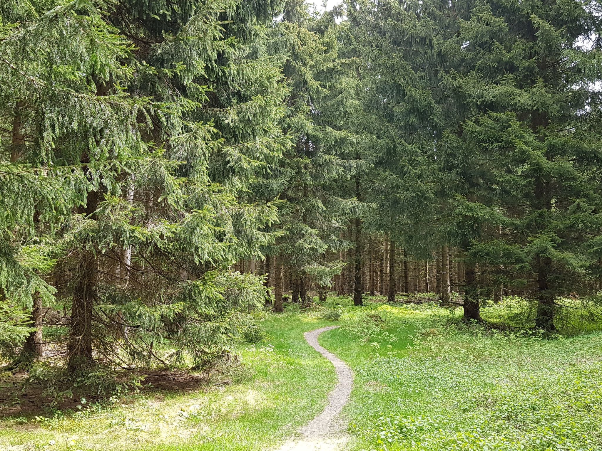Wunderschönes Ferienhaus in Frauenwald mit Garten, Terrasse und Grill-Image-tags.info