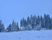 Ferienhaus Aurora