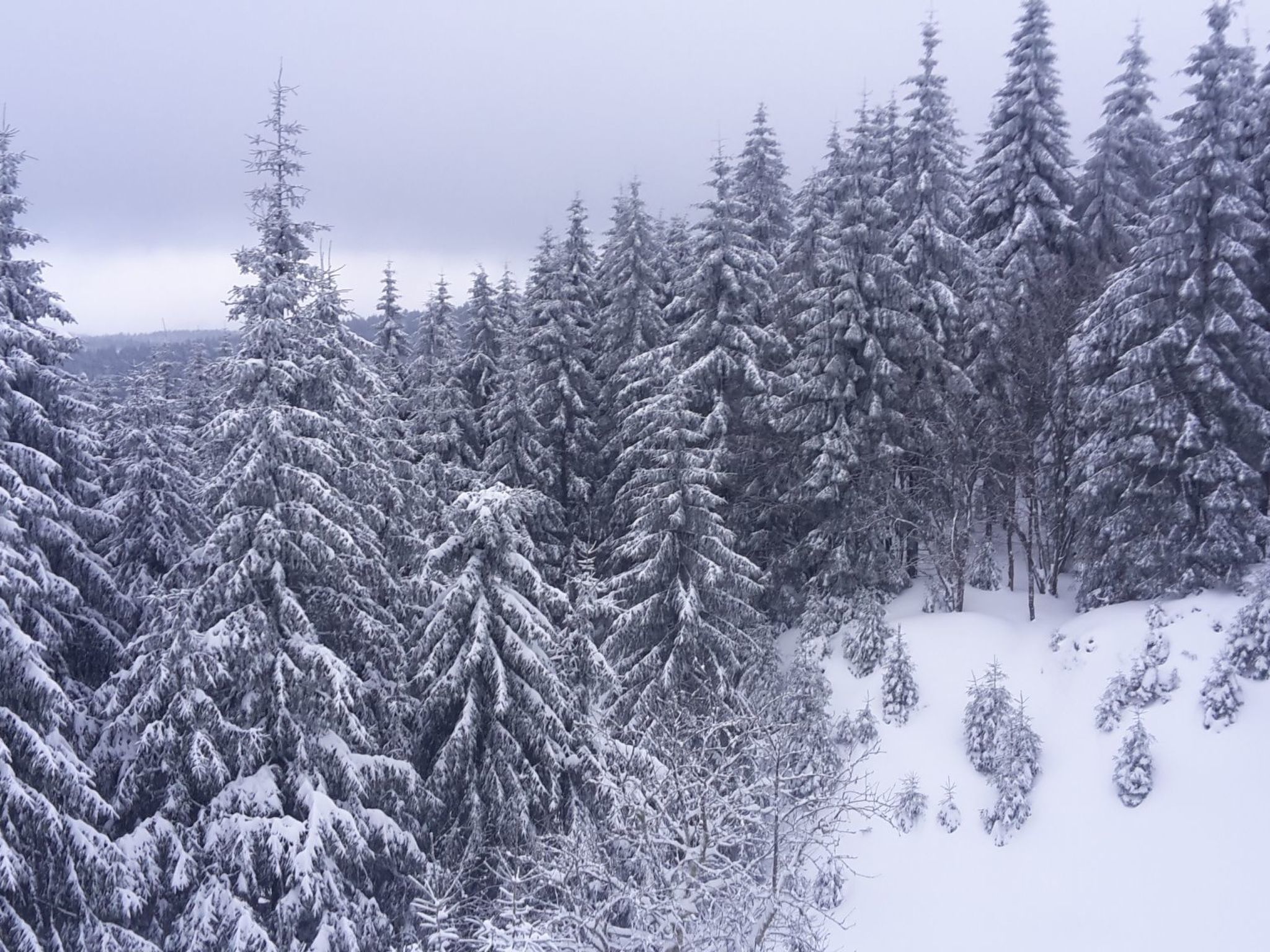 Thüringer Landhaus-Binnen