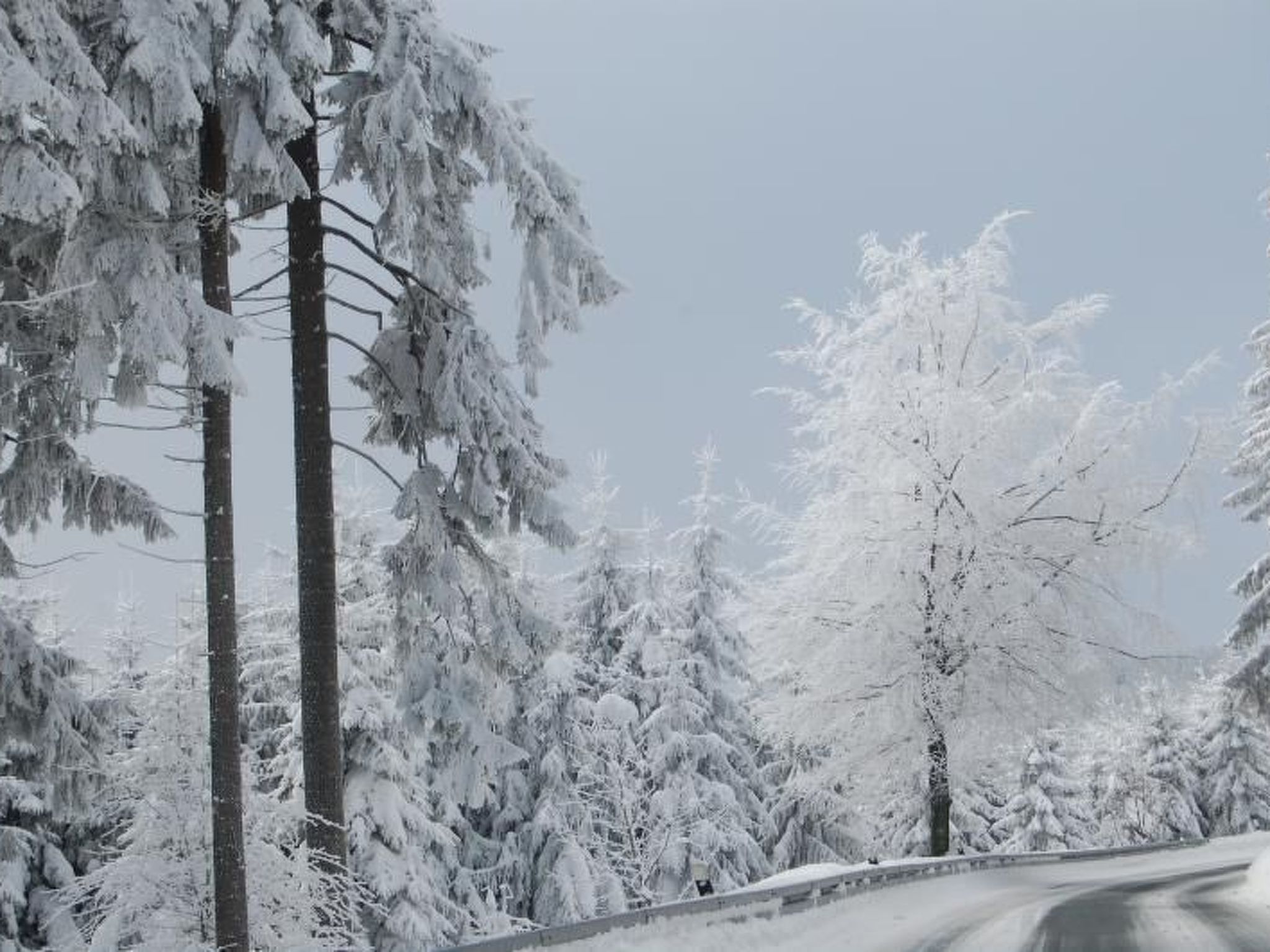 Landhaus  Schneekopf-Binnen