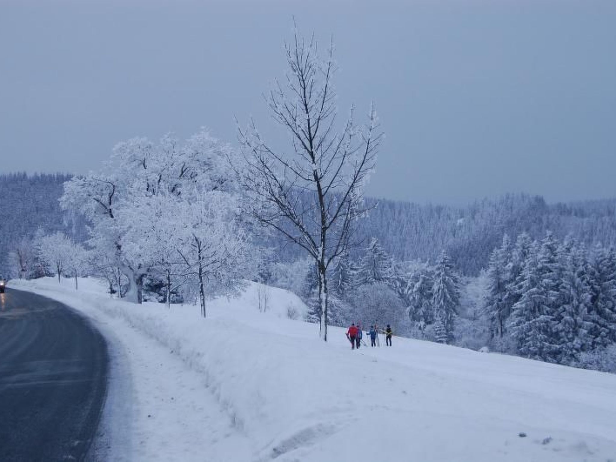 Landhaus  Schneekopf-Binnen