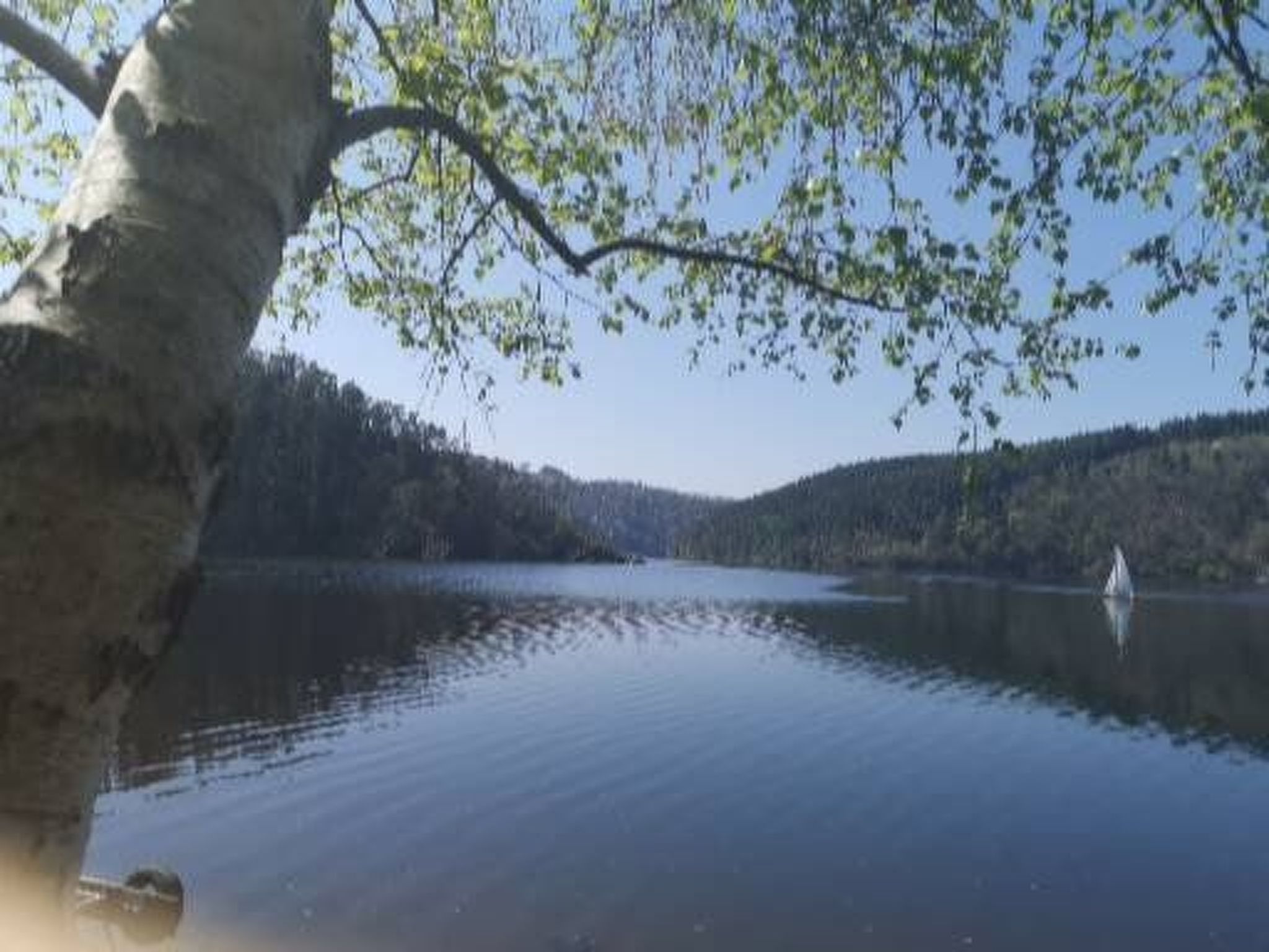 Thüringer Landhaus-Binnen