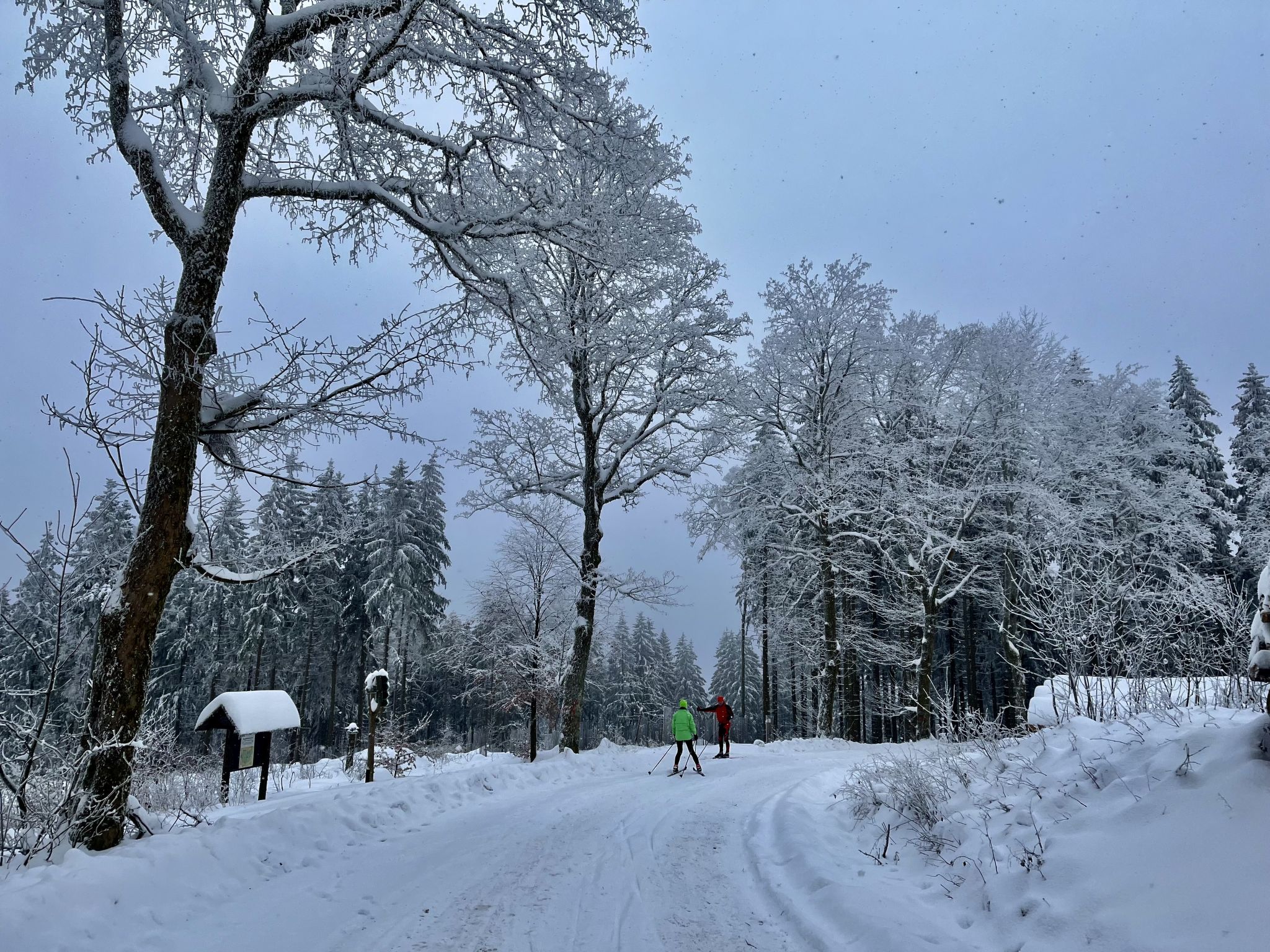 Photo of Gemütliche Ferienwohnung im Thüringer Wald