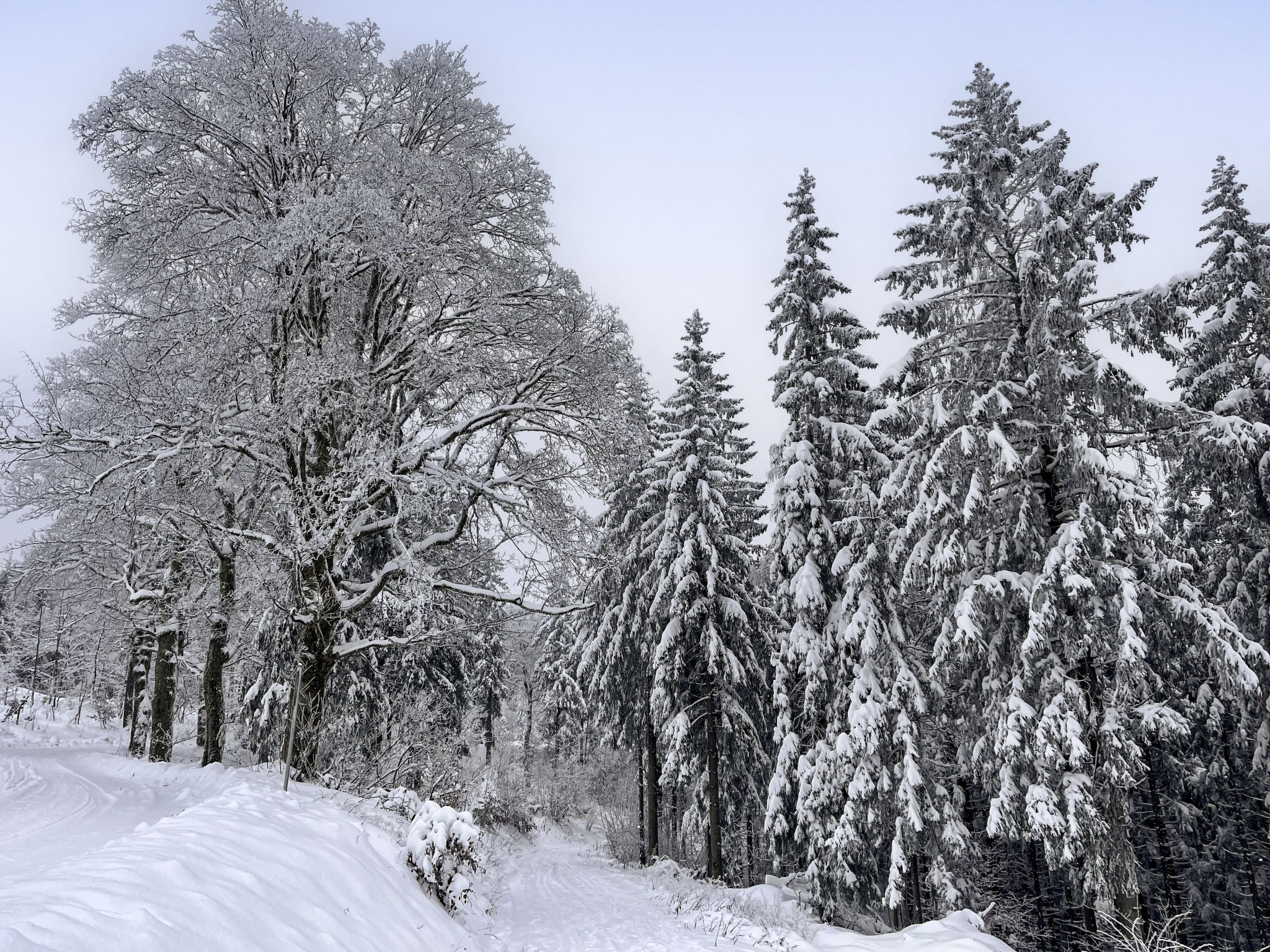 Photo of Gemütliche Ferienwohnung im Thüringer Wald