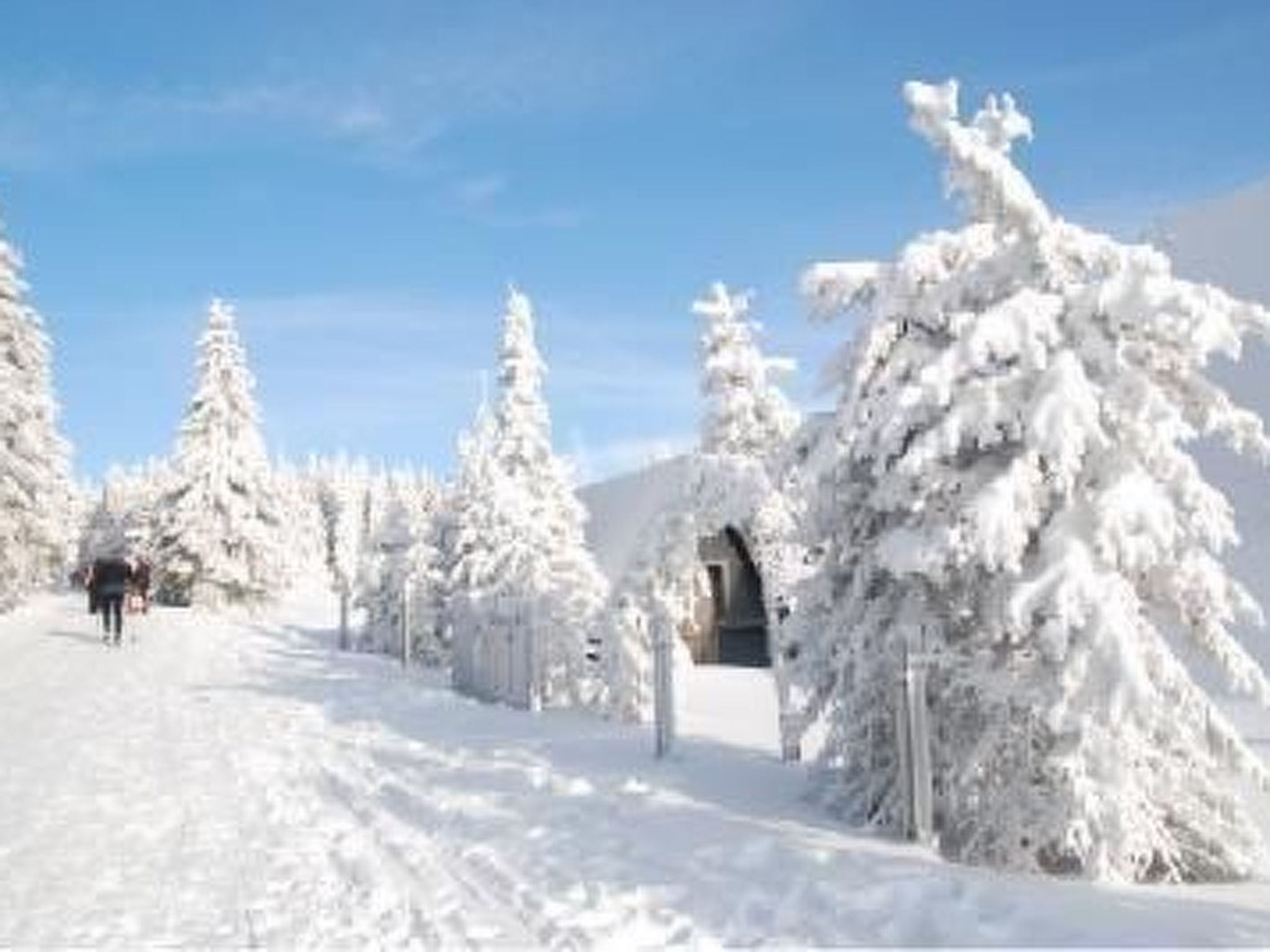 Gemütliche Ferienwohnung im Thüringer Wald-Binnen