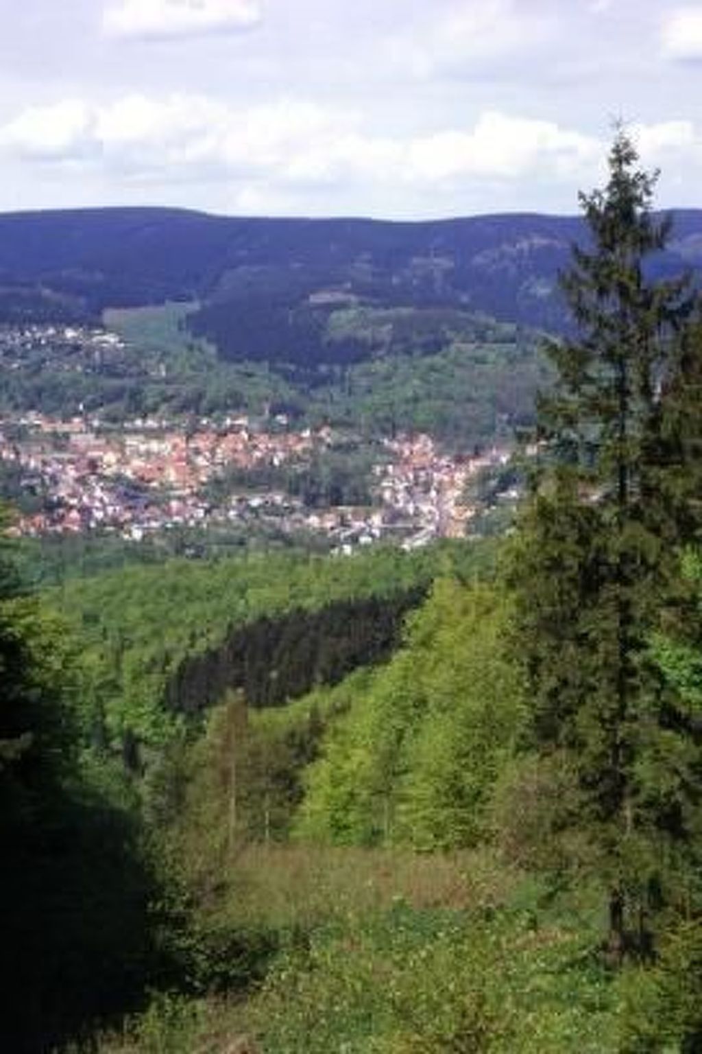Gemütliche Ferienwohnung im Thüringer Wald-Binnen