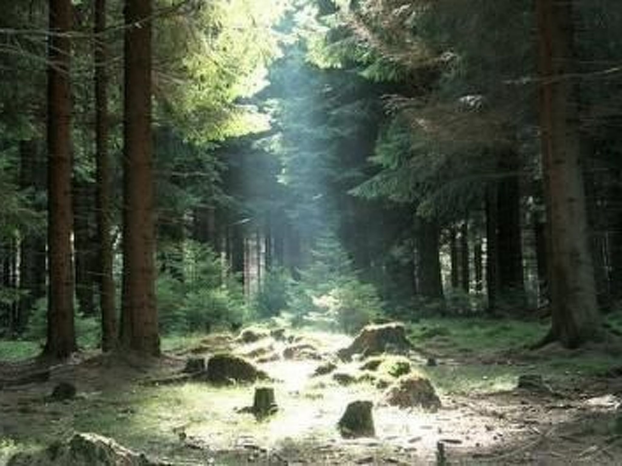 Gemütliche Ferienwohnung im Thüringer Wald-Binnen