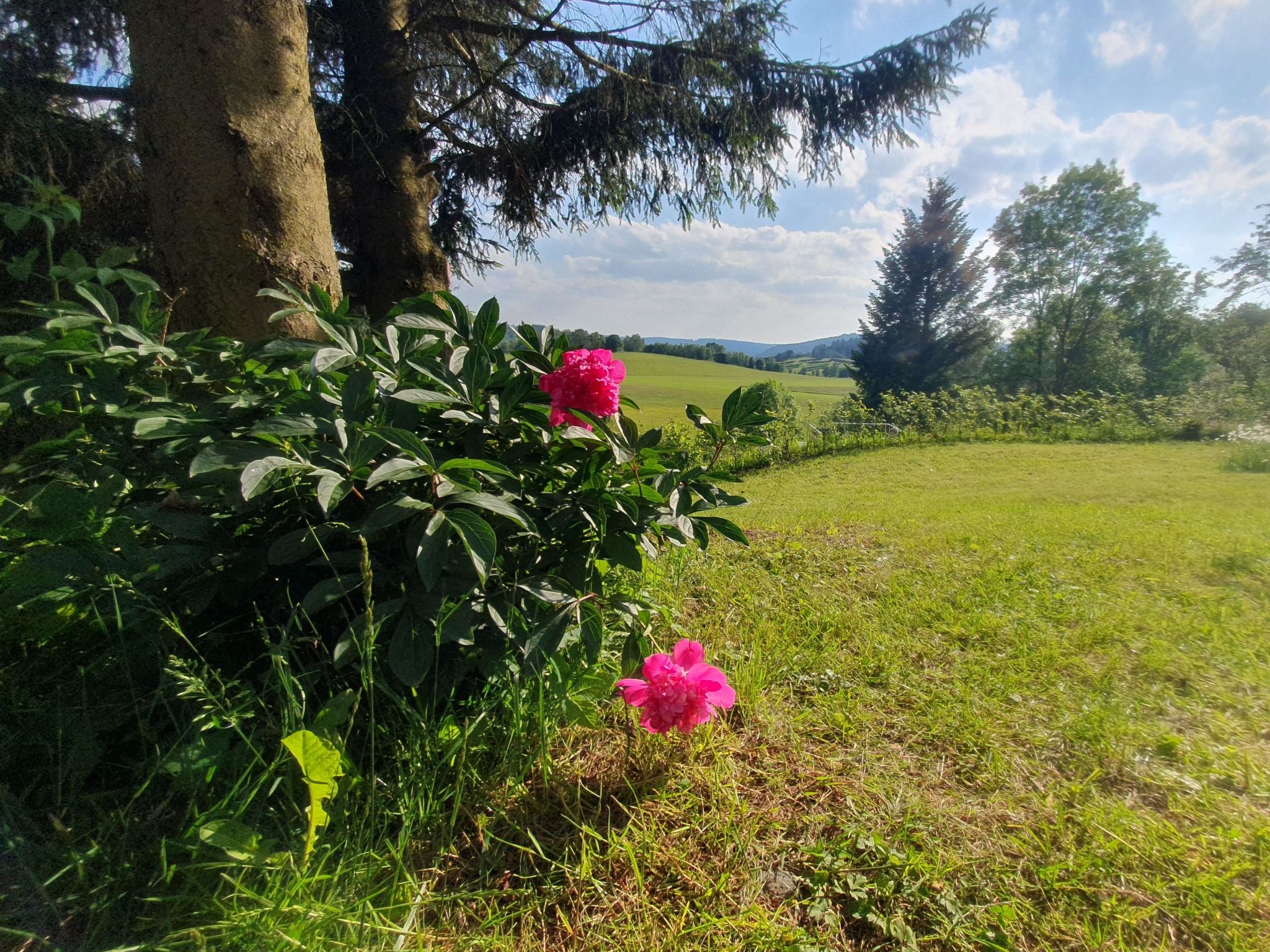 Haus Schneekopf-Image-tags.info