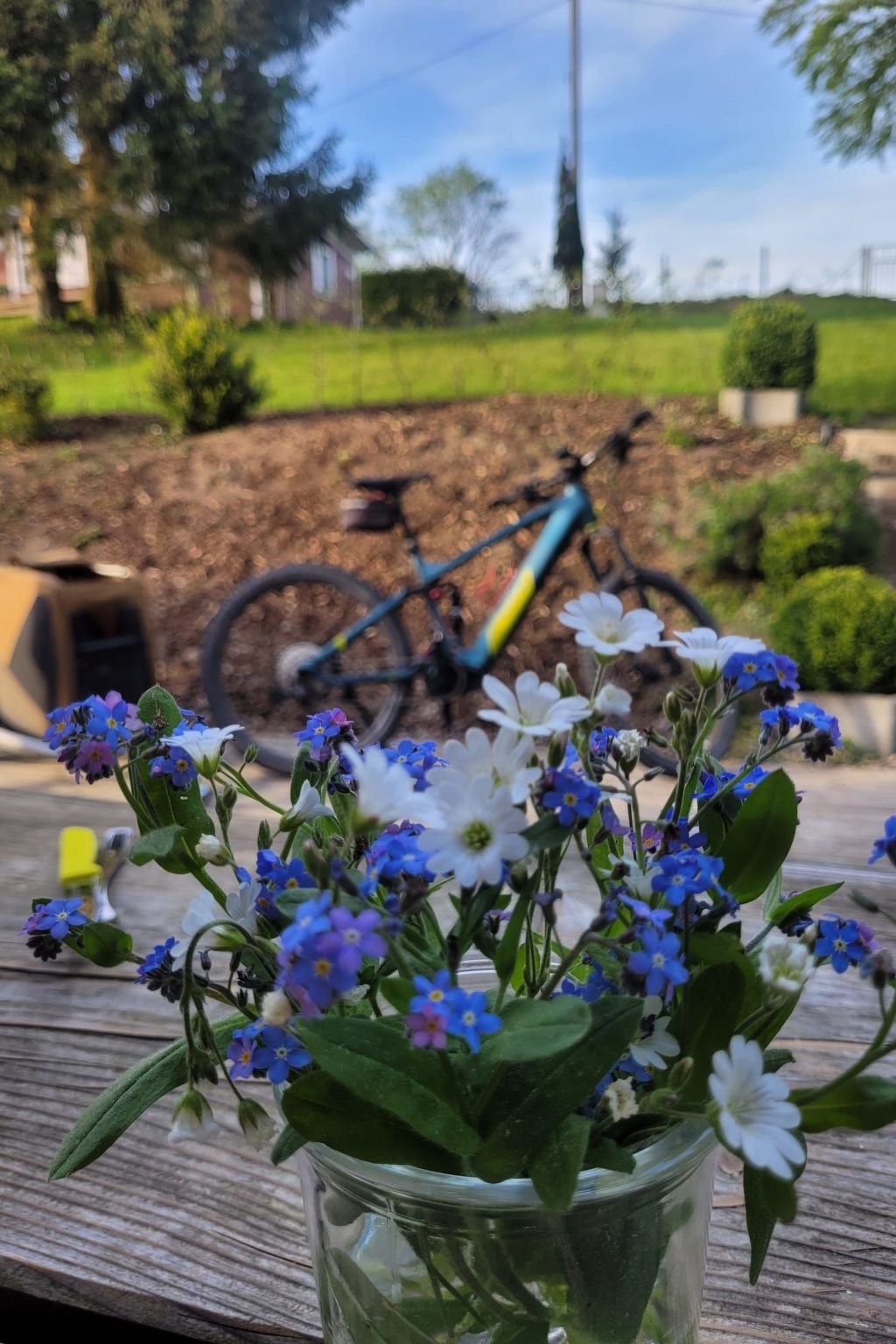 Haus Schneekopf-Image-tags.info