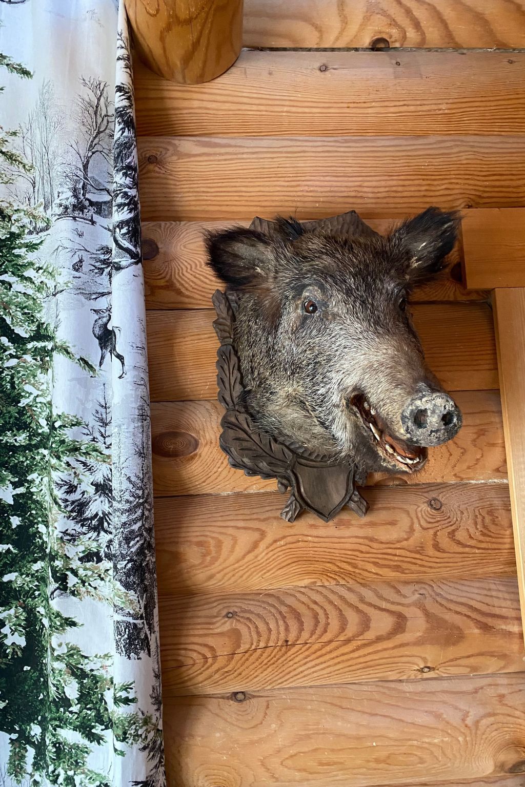 Am Rennsteig-Image-tags.info