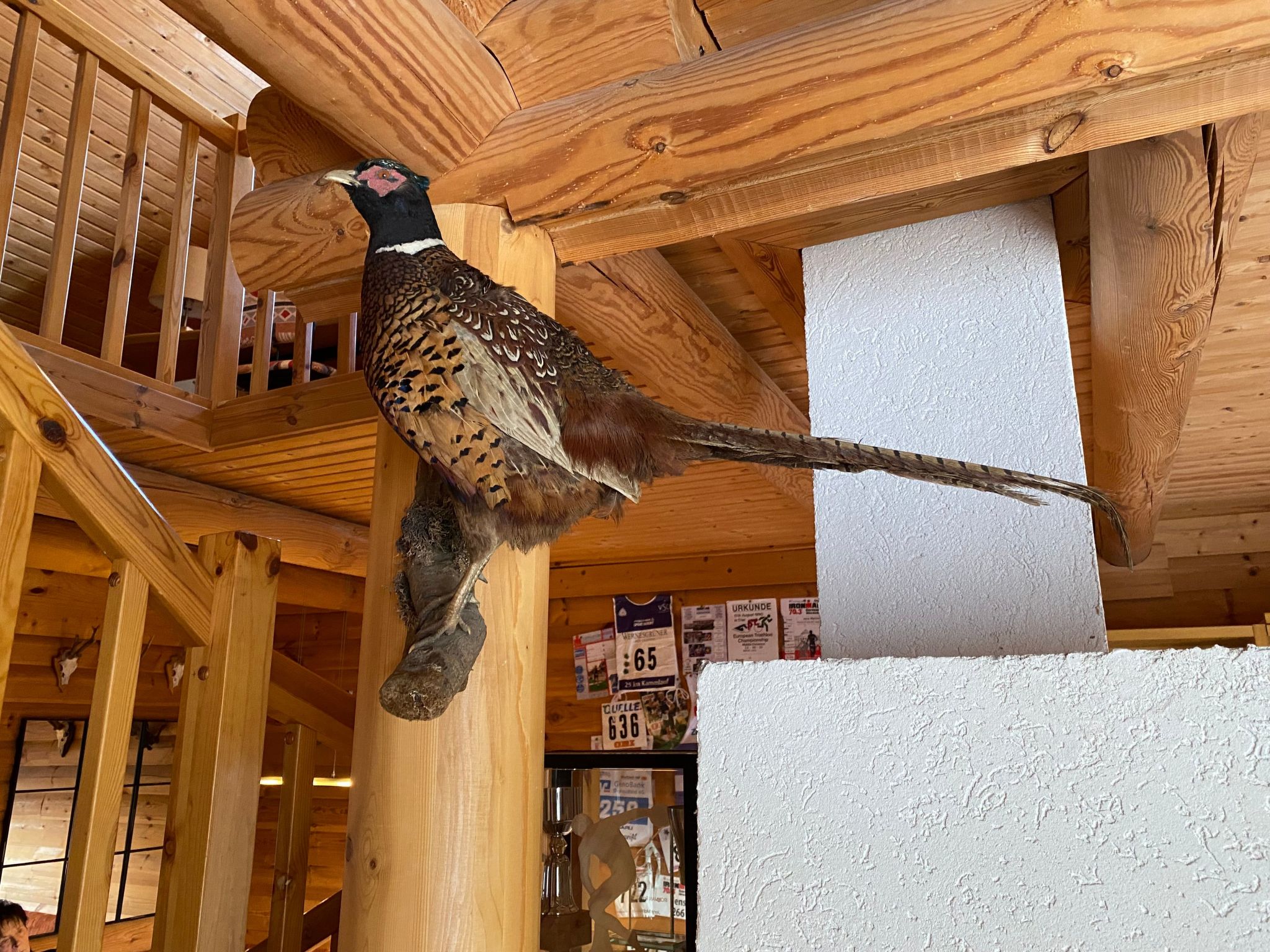 Am Rennsteig-Image-tags.info