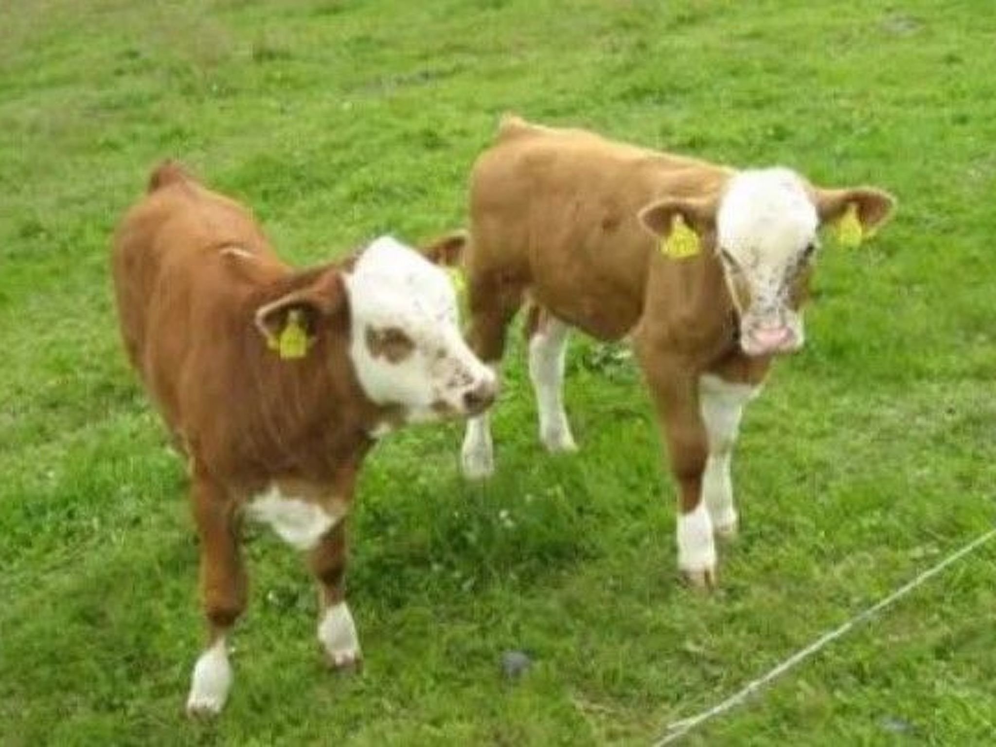 FH Panoramablick-Image-tags.info