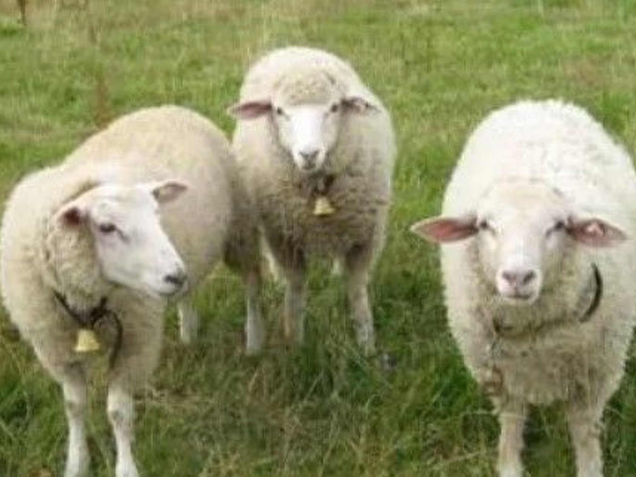 FH Panoramablick-Image-tags.info