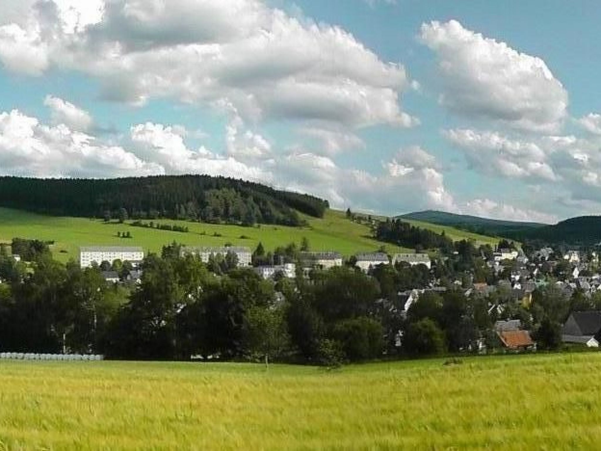 Ziller-Image-tags.info