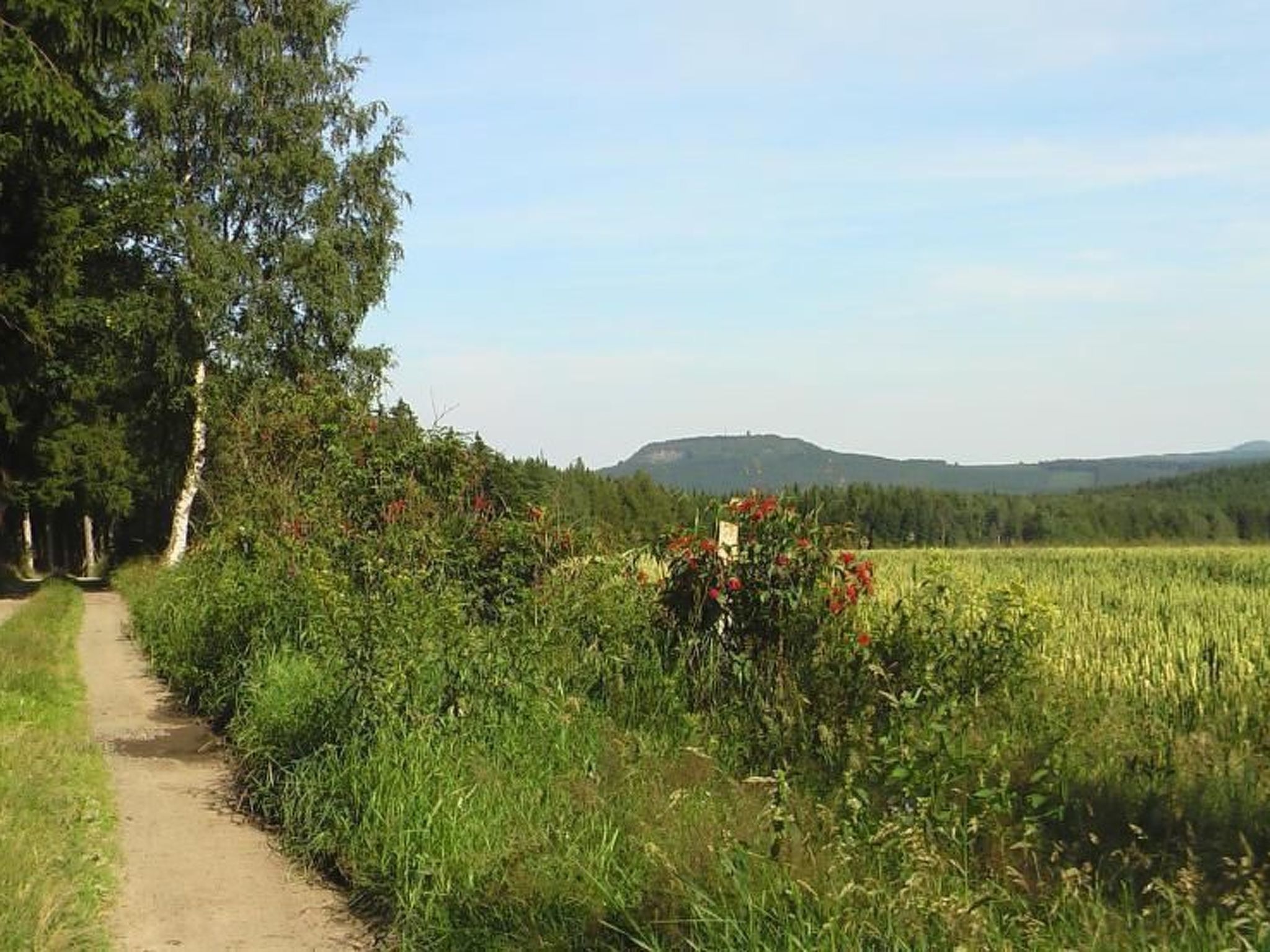 Ziller-Image-tags.info