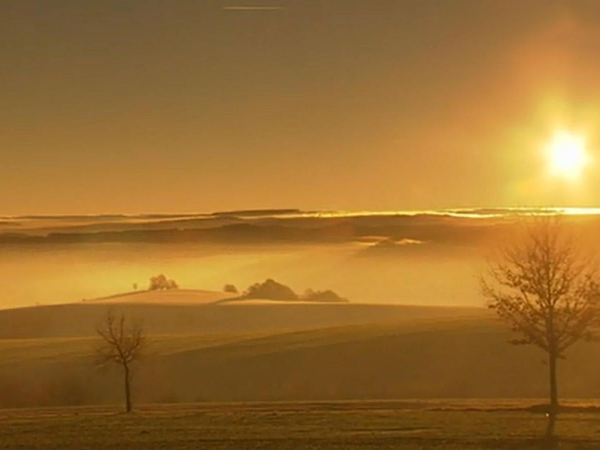 Ziller-Image-tags.info