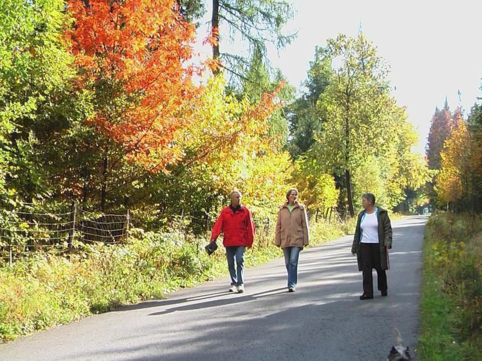 Ziller-Image-tags.info