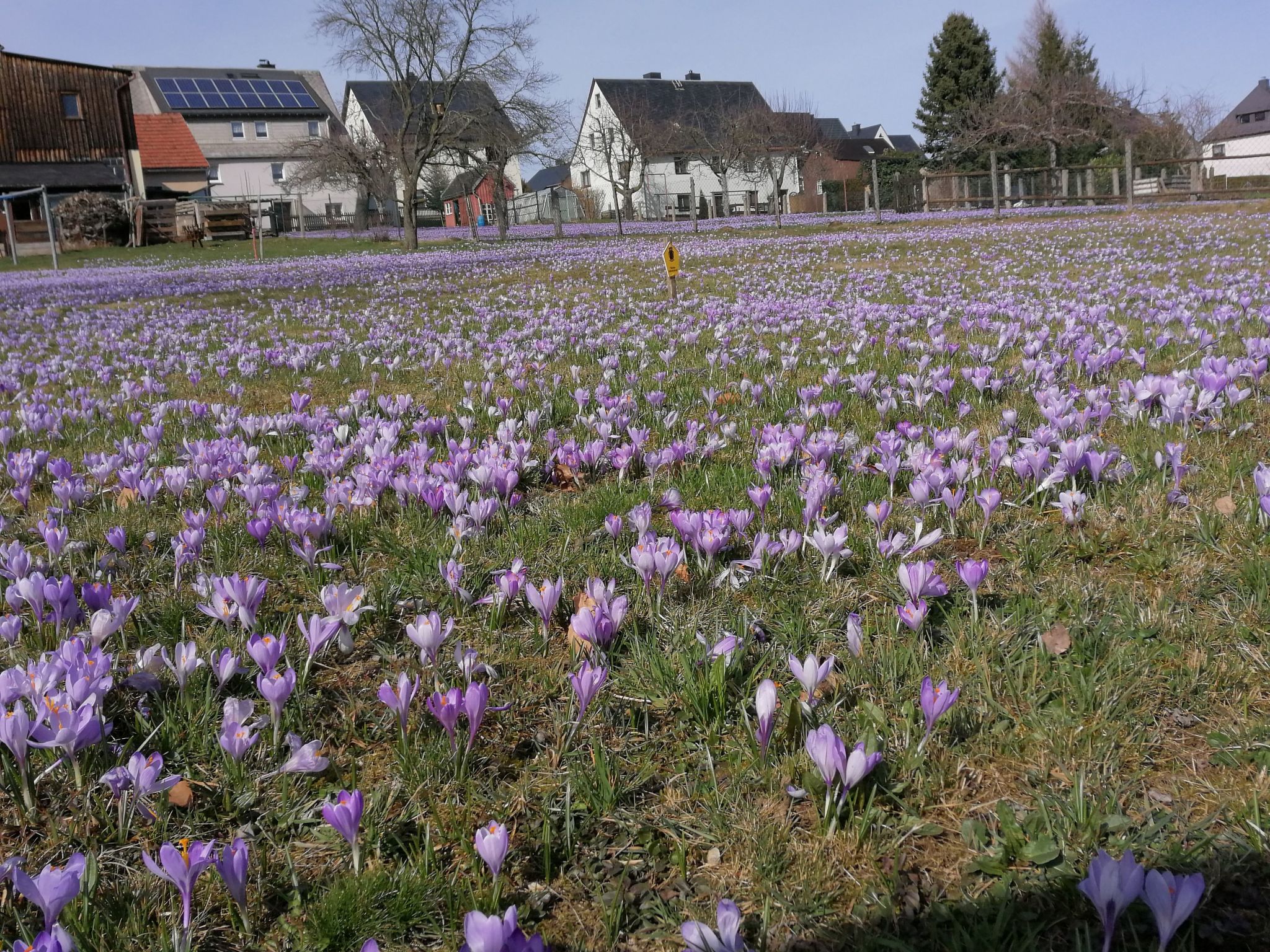 Ziller-Image-tags.info