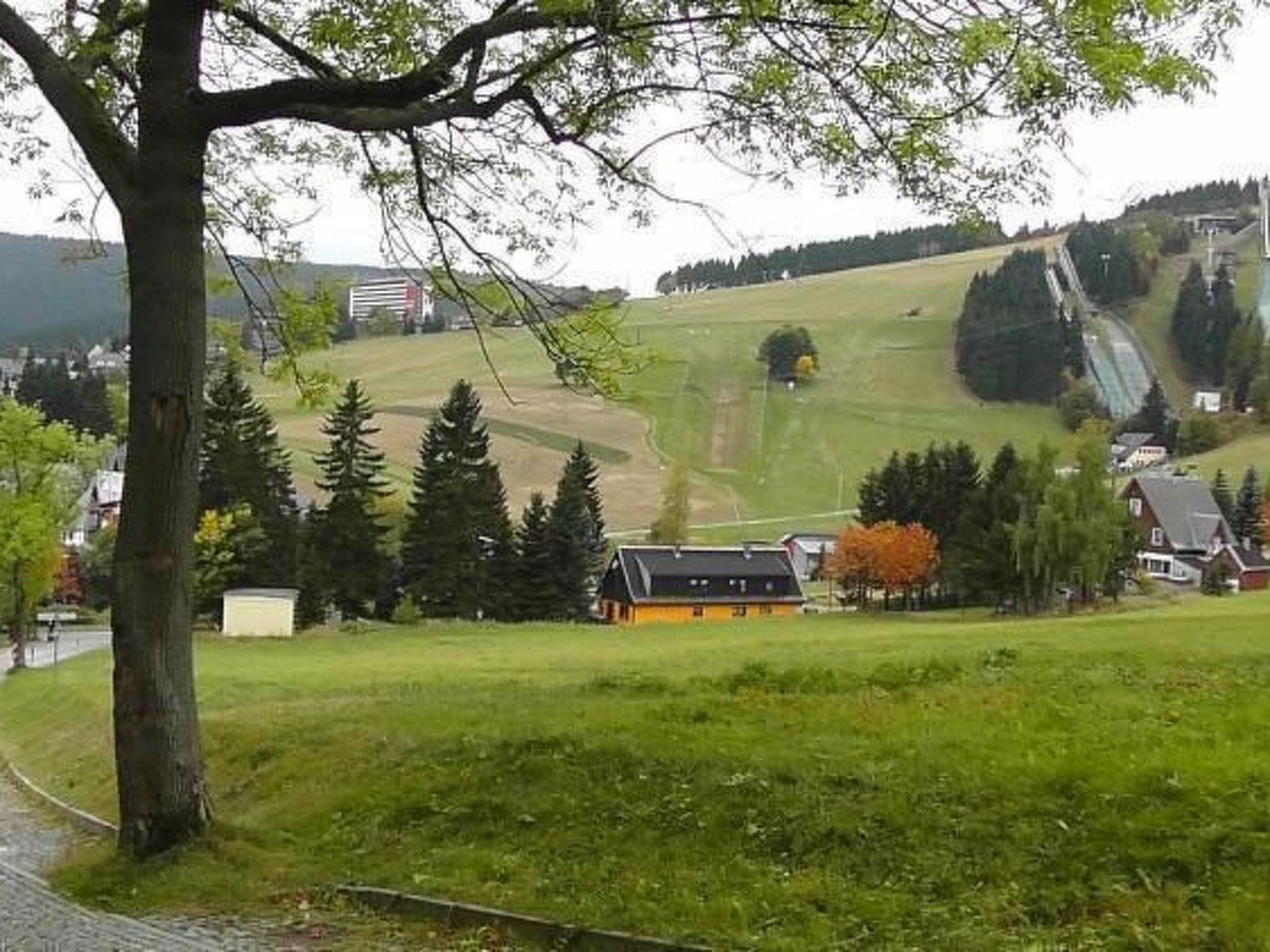 Ziller-Image-tags.info