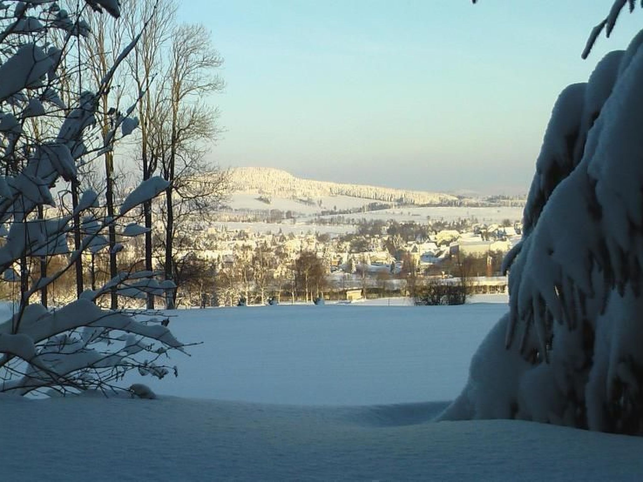 Ziller-Image-tags.info