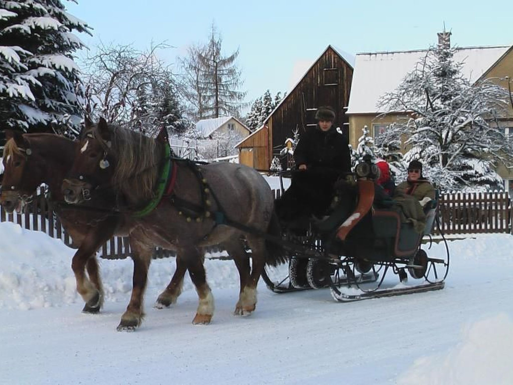 Ziller-Image-tags.info