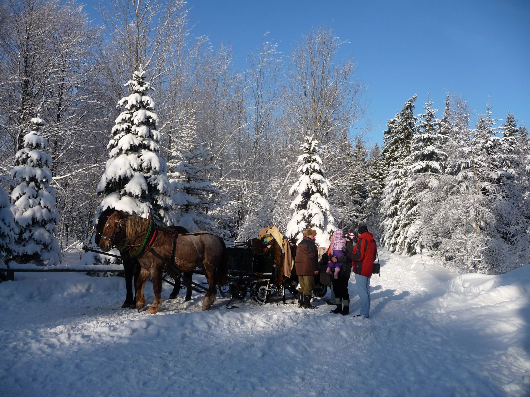 Ziller-Image-tags.info