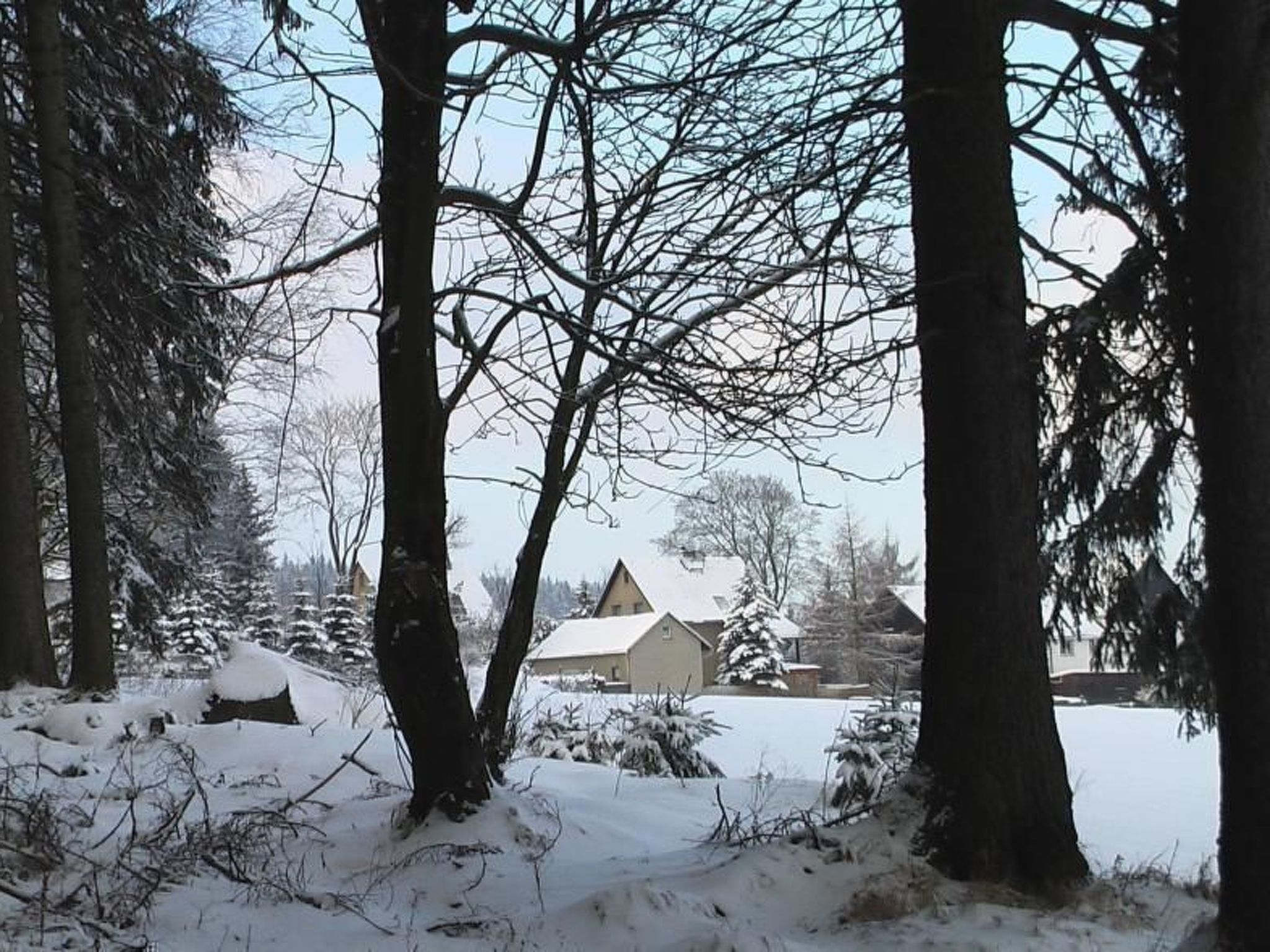 Ziller-Image-tags.info