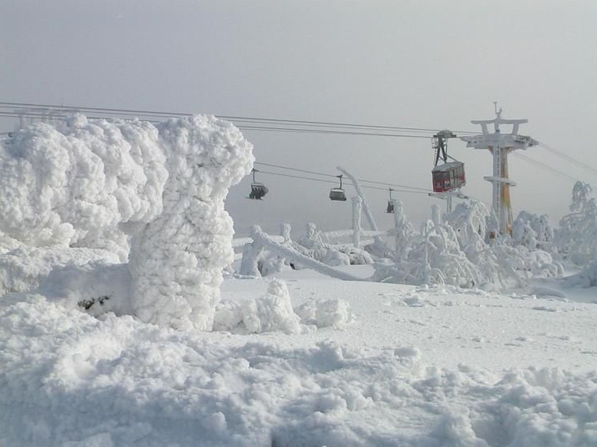 Ziller-Image-tags.info