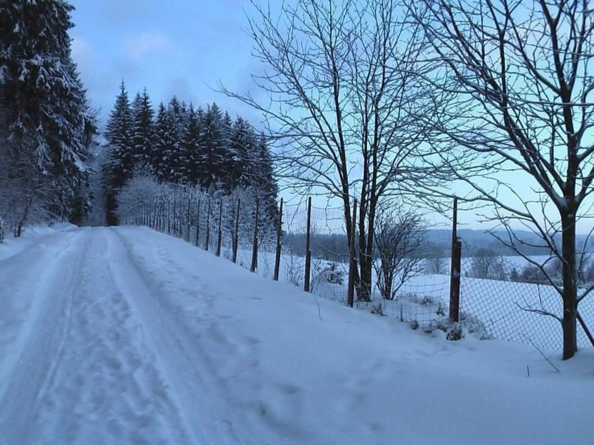 Ziller-Image-tags.info