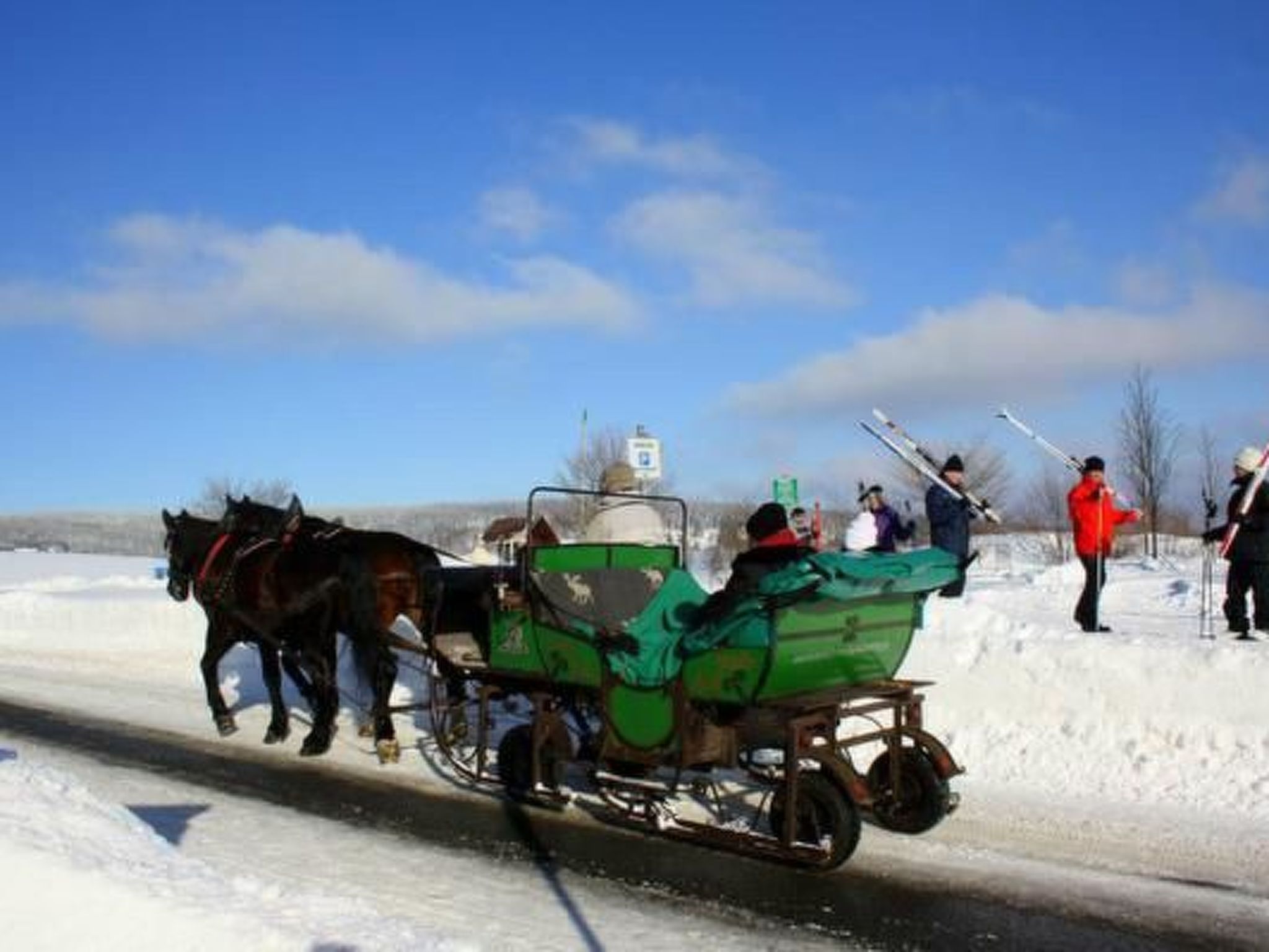 Fewo Katzengold-Buiten