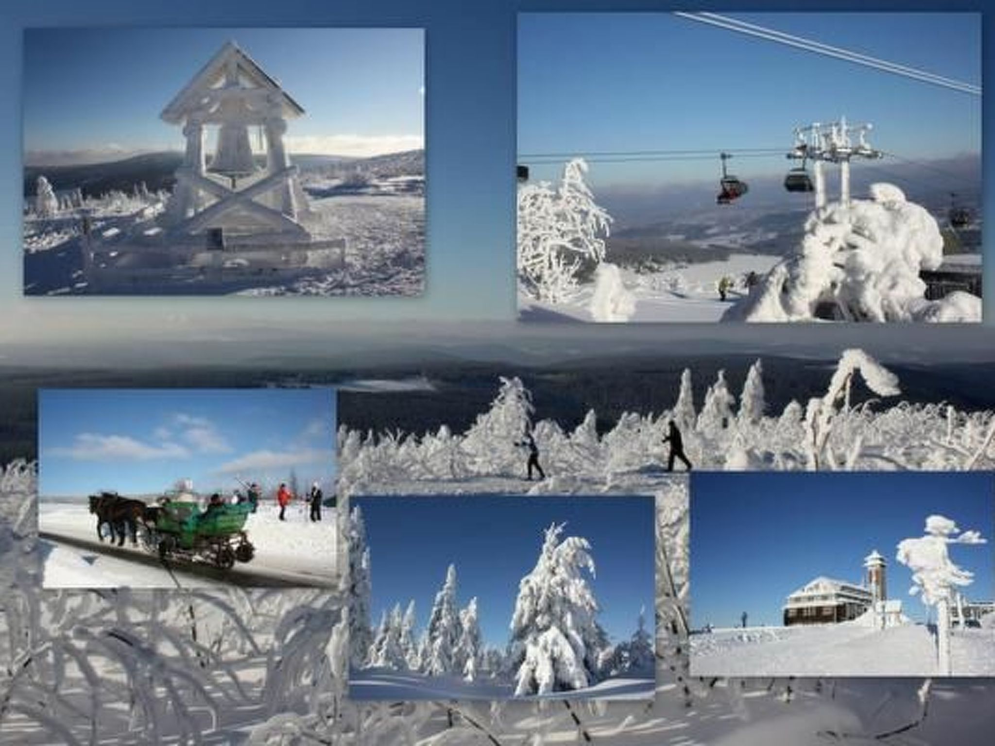 Fewo Katzengold-Image-tags.info