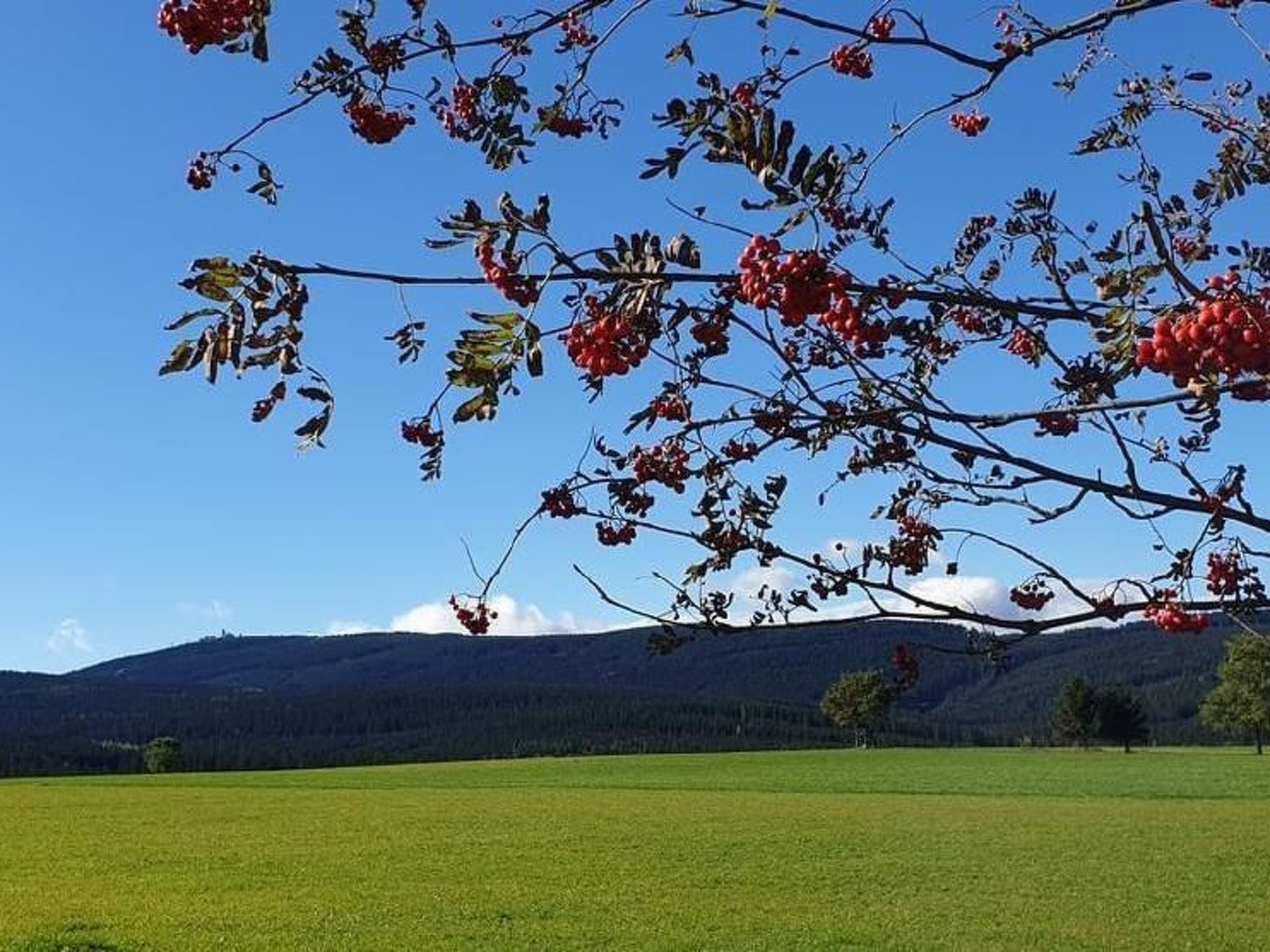 Fewo-Dorfblick-Image-tags.info