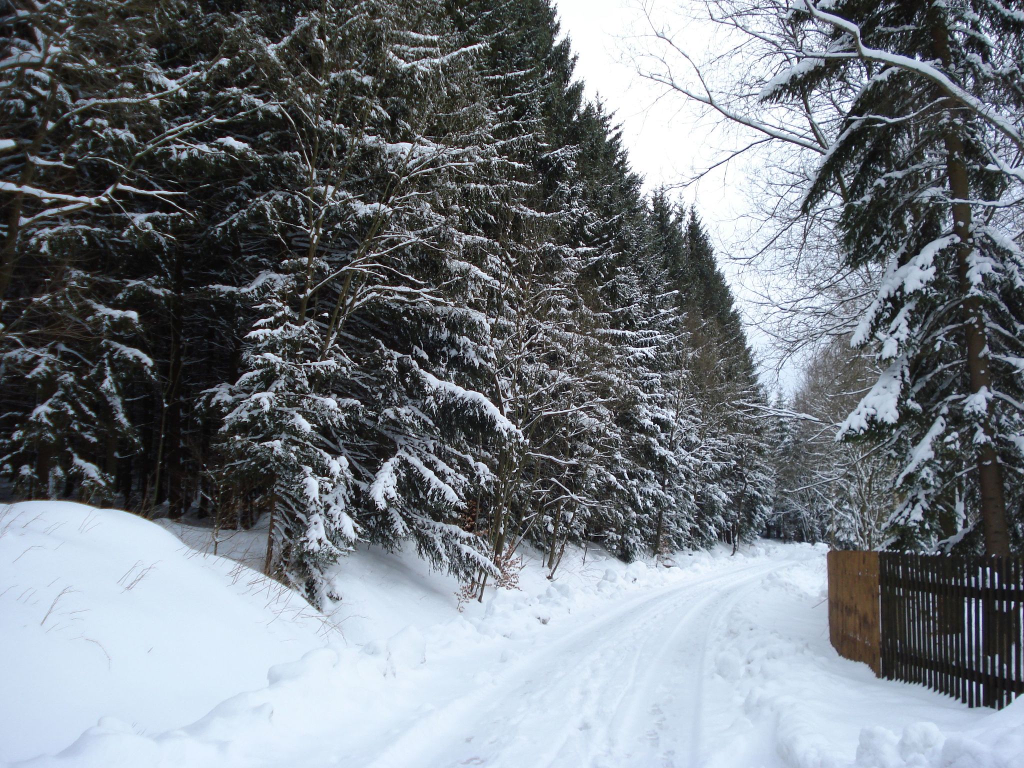 Fewo-Dorfblick-Buiten