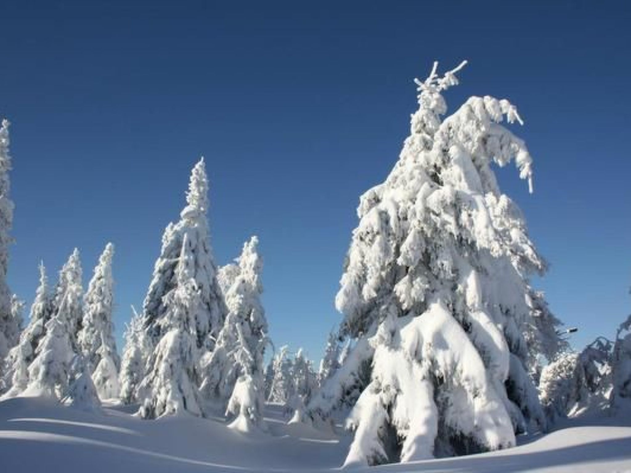 Fewo Bergkristall-Image-tags.info