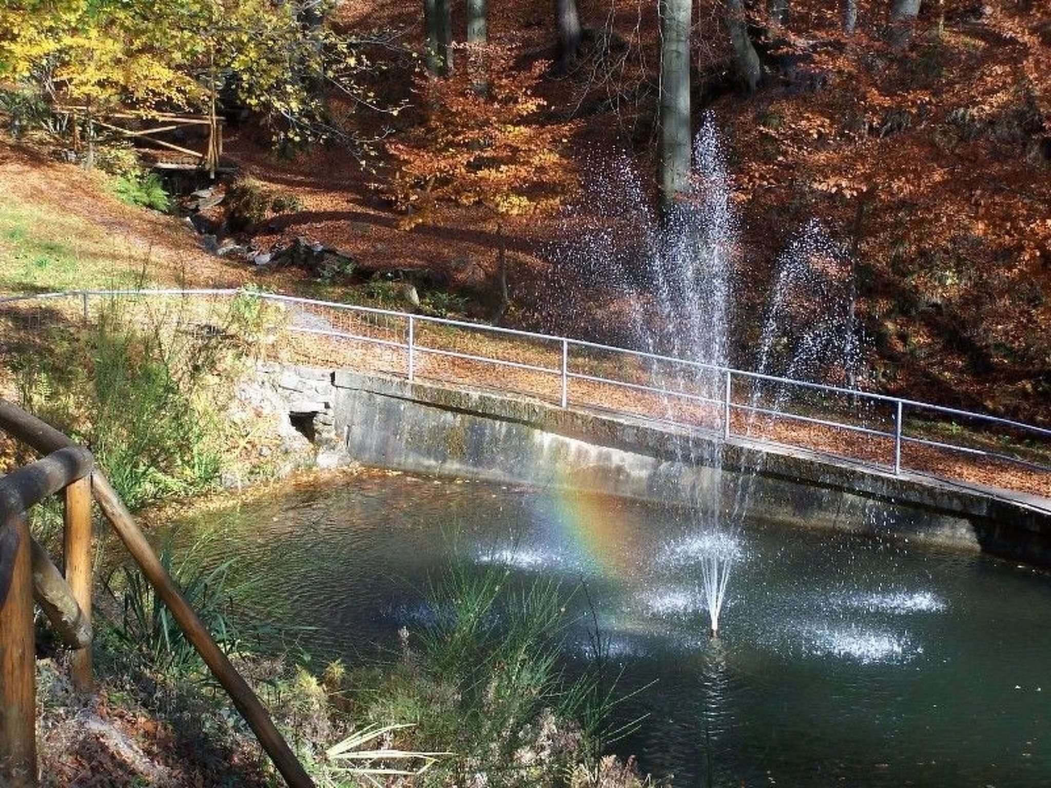 FeWo Panorama *****-Binnen