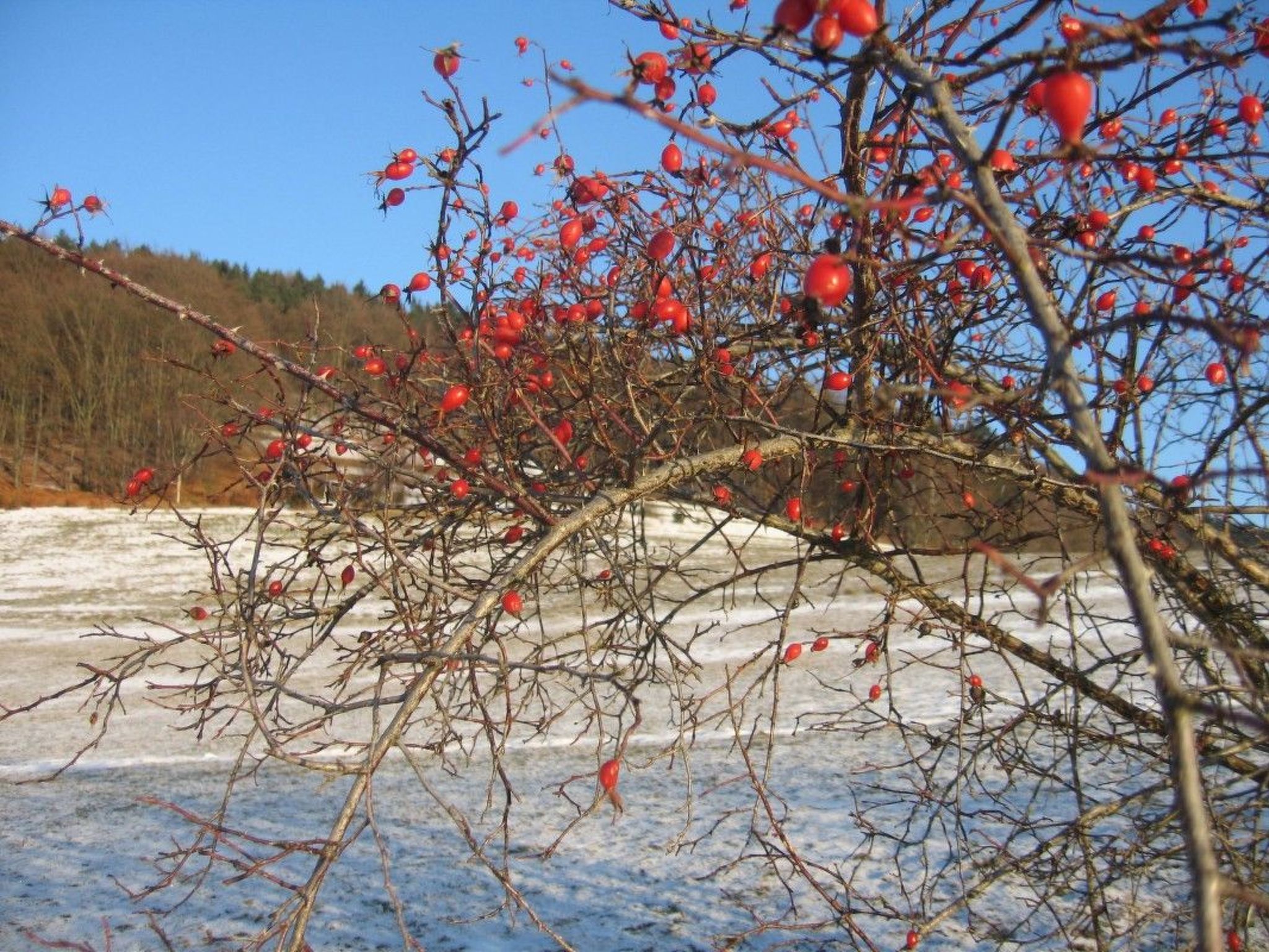 FeWo Panorama *****-Binnen