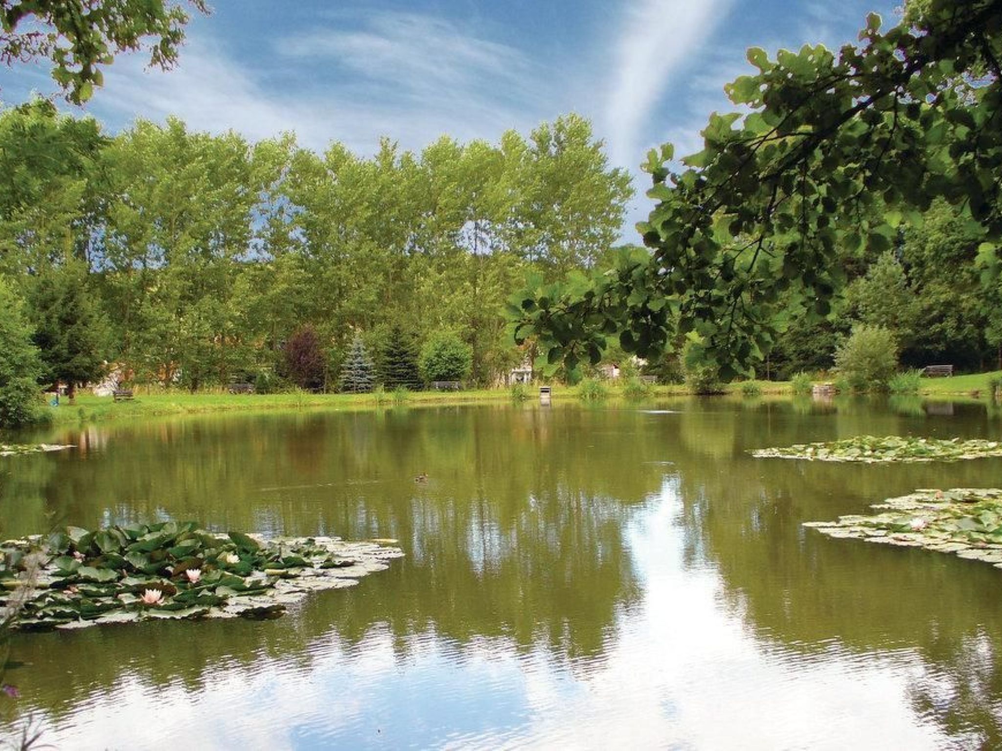 Siegmund-Image-tags.info