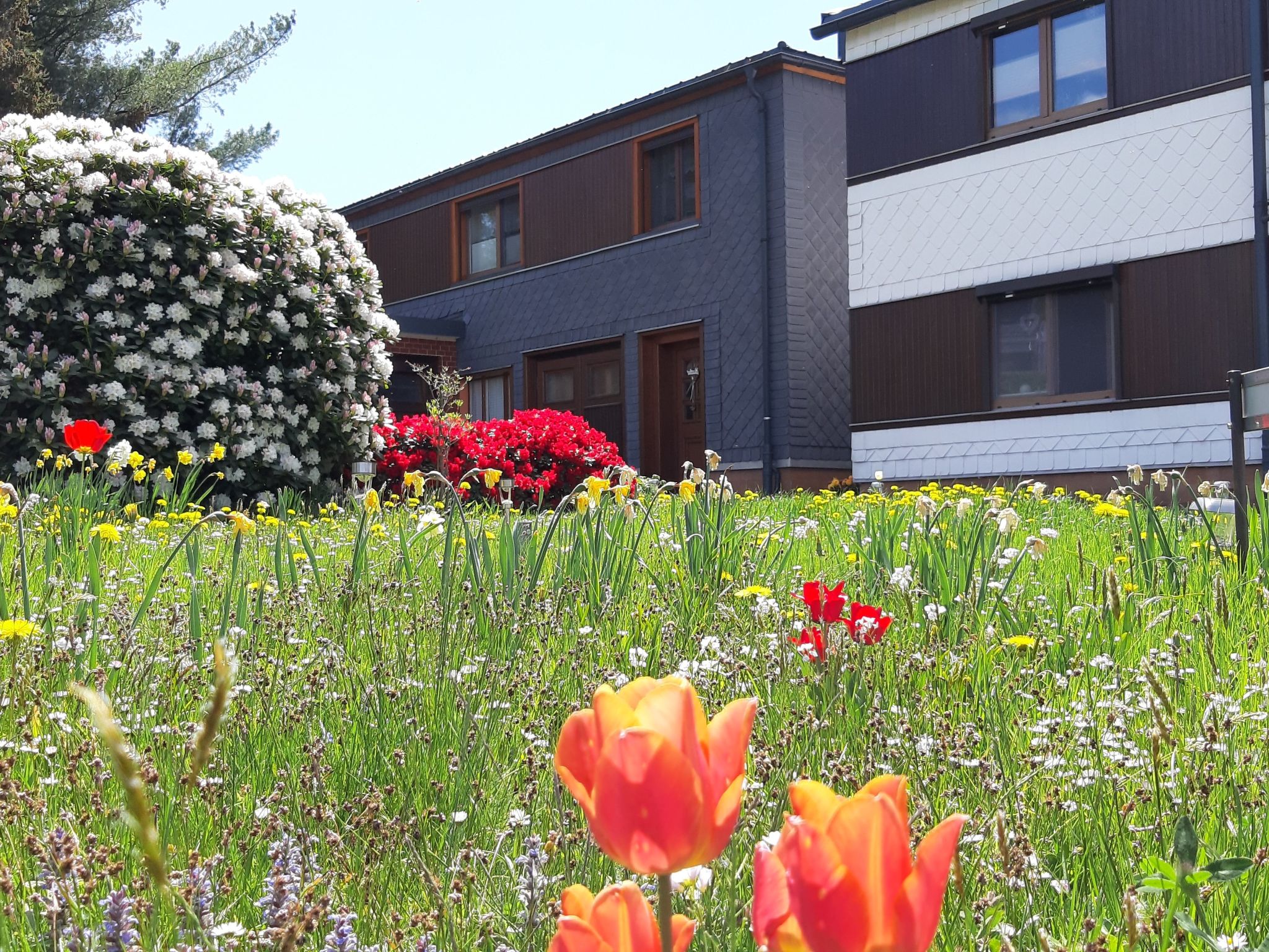 Discover the picturesque tranquillity of Meuselbach, an idyllic village in the heart of the southern Thuringian Forest that offers the perfect escape from the hustle and bustle of everyday life. Situa..