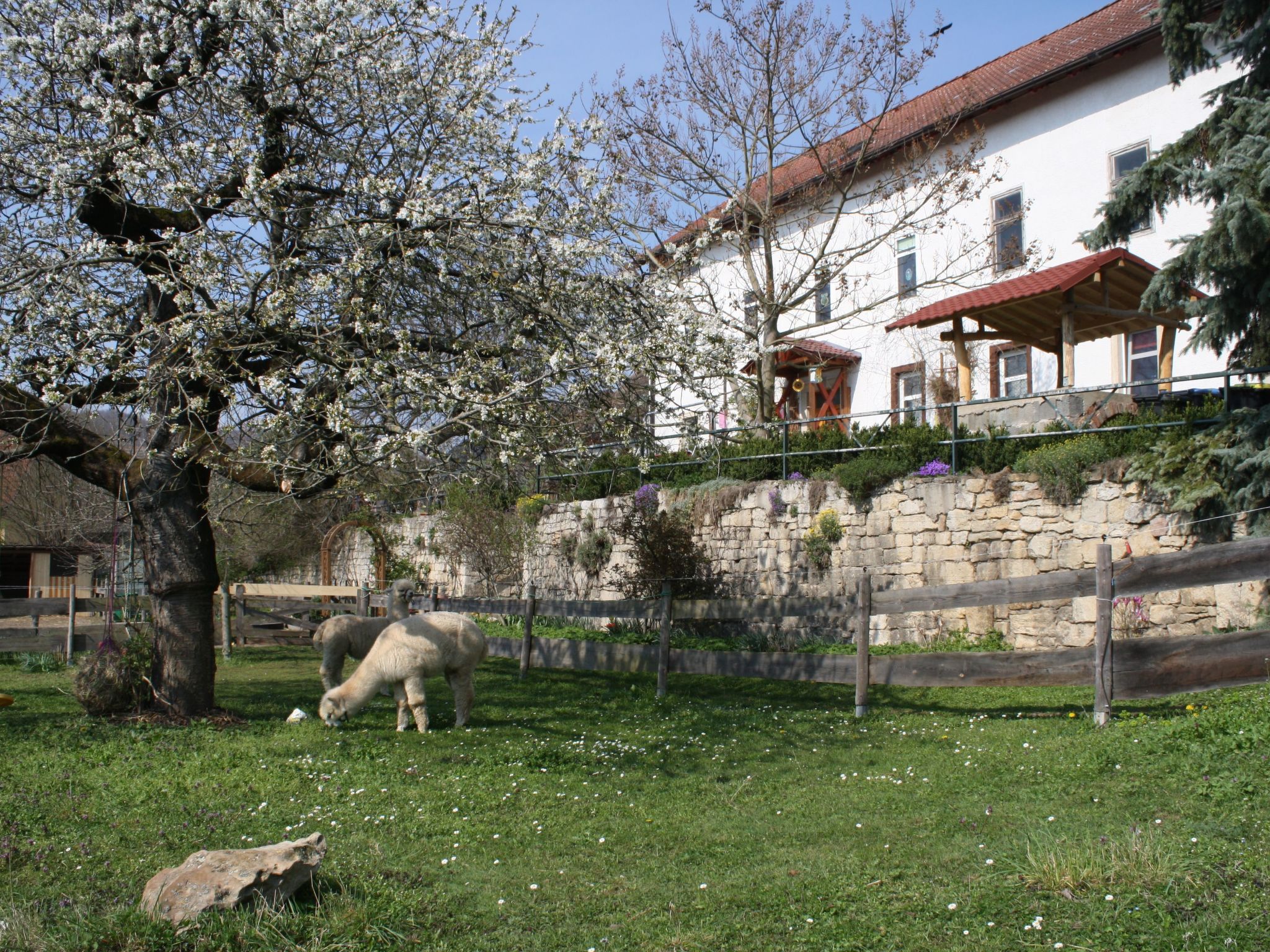 Große Fewo