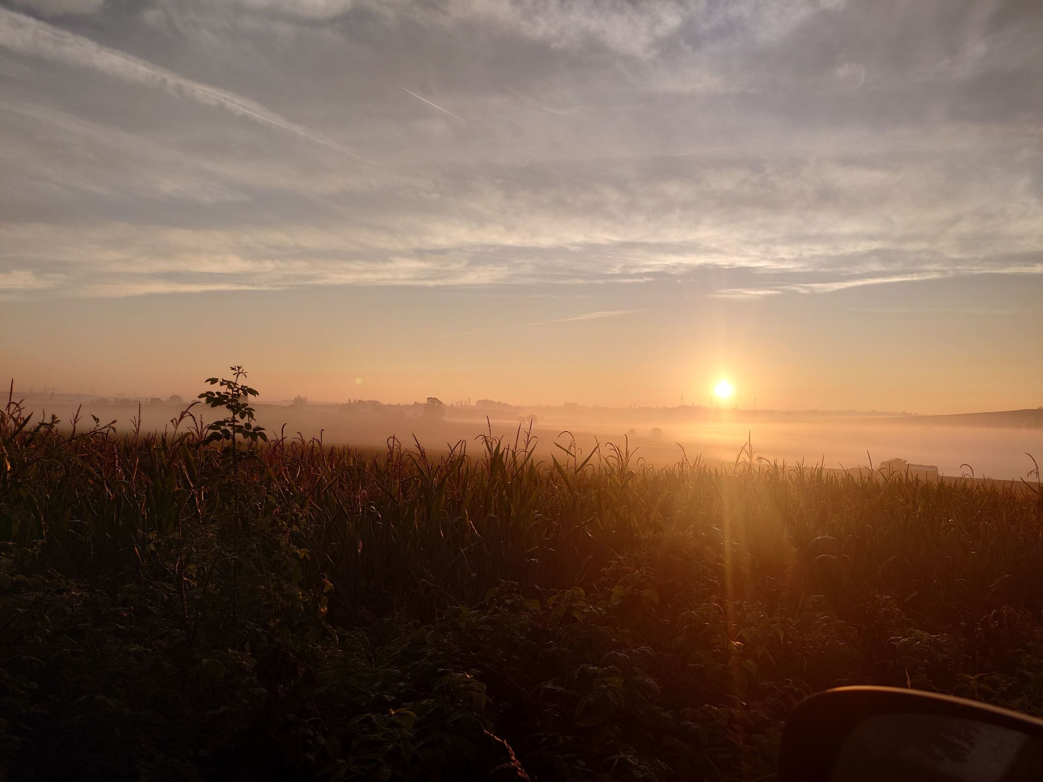 Kerstin-Image-tags.info