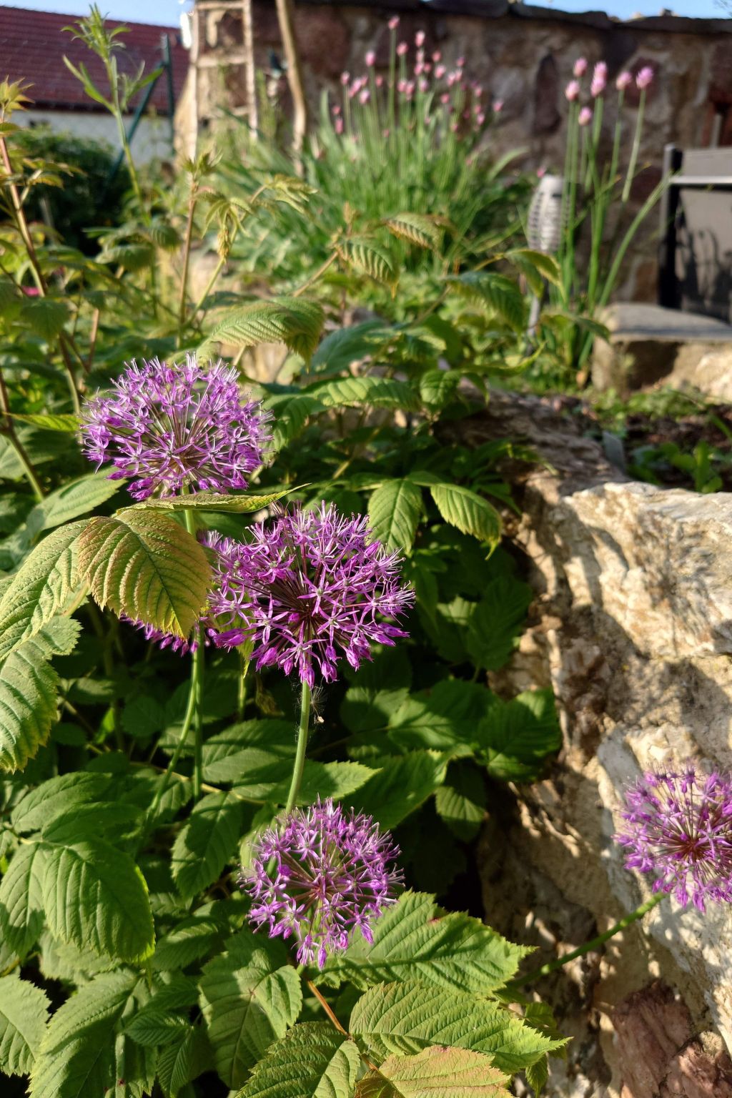 Kerstin-Image-tags.info