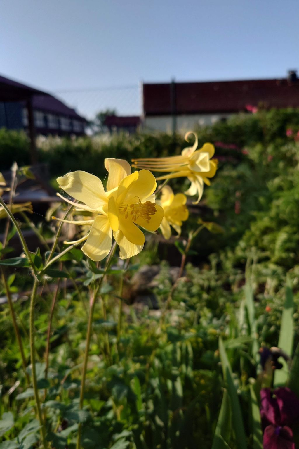 Kerstin-Image-tags.info