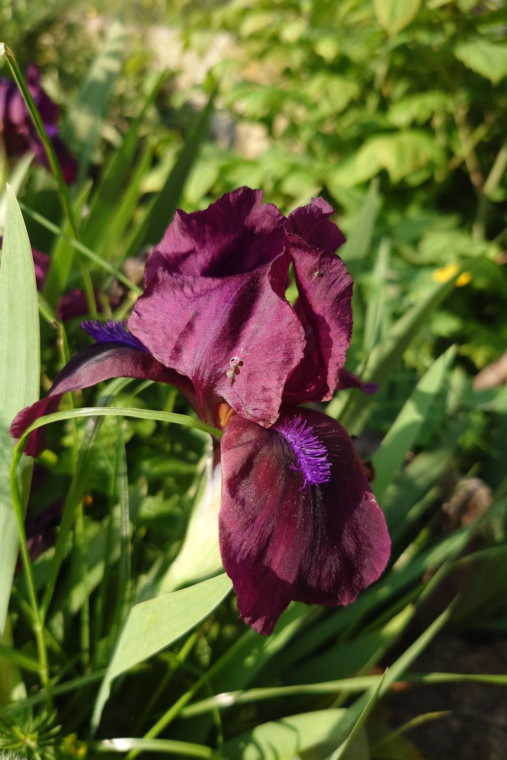 Kerstin-Image-tags.info