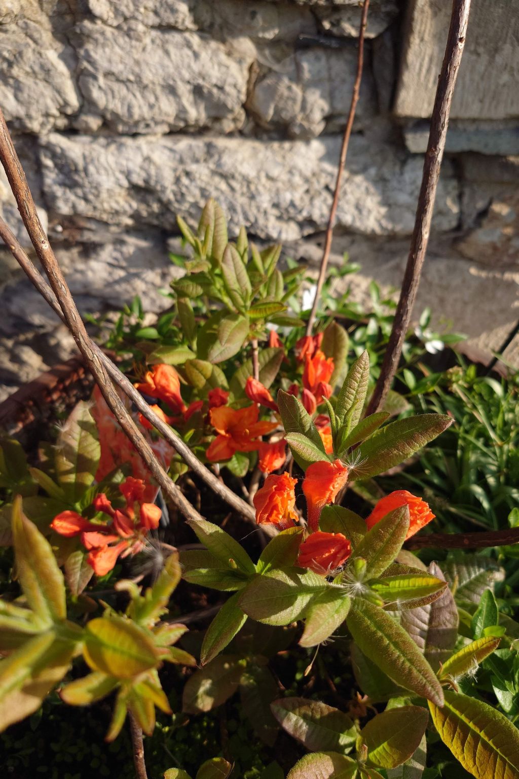 Kerstin-Image-tags.info