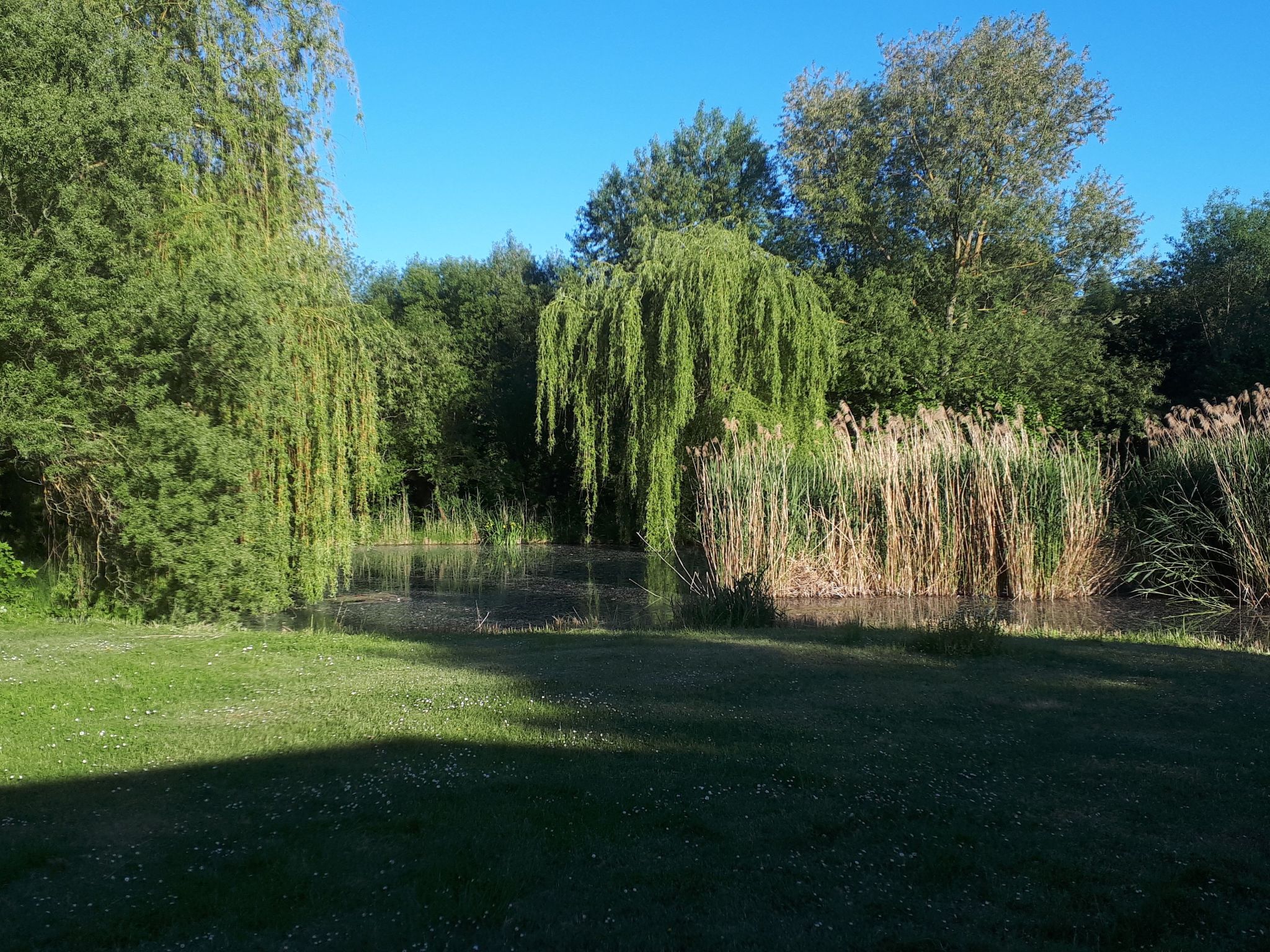 Mit naturnahen Badeteich-Image-tags.info