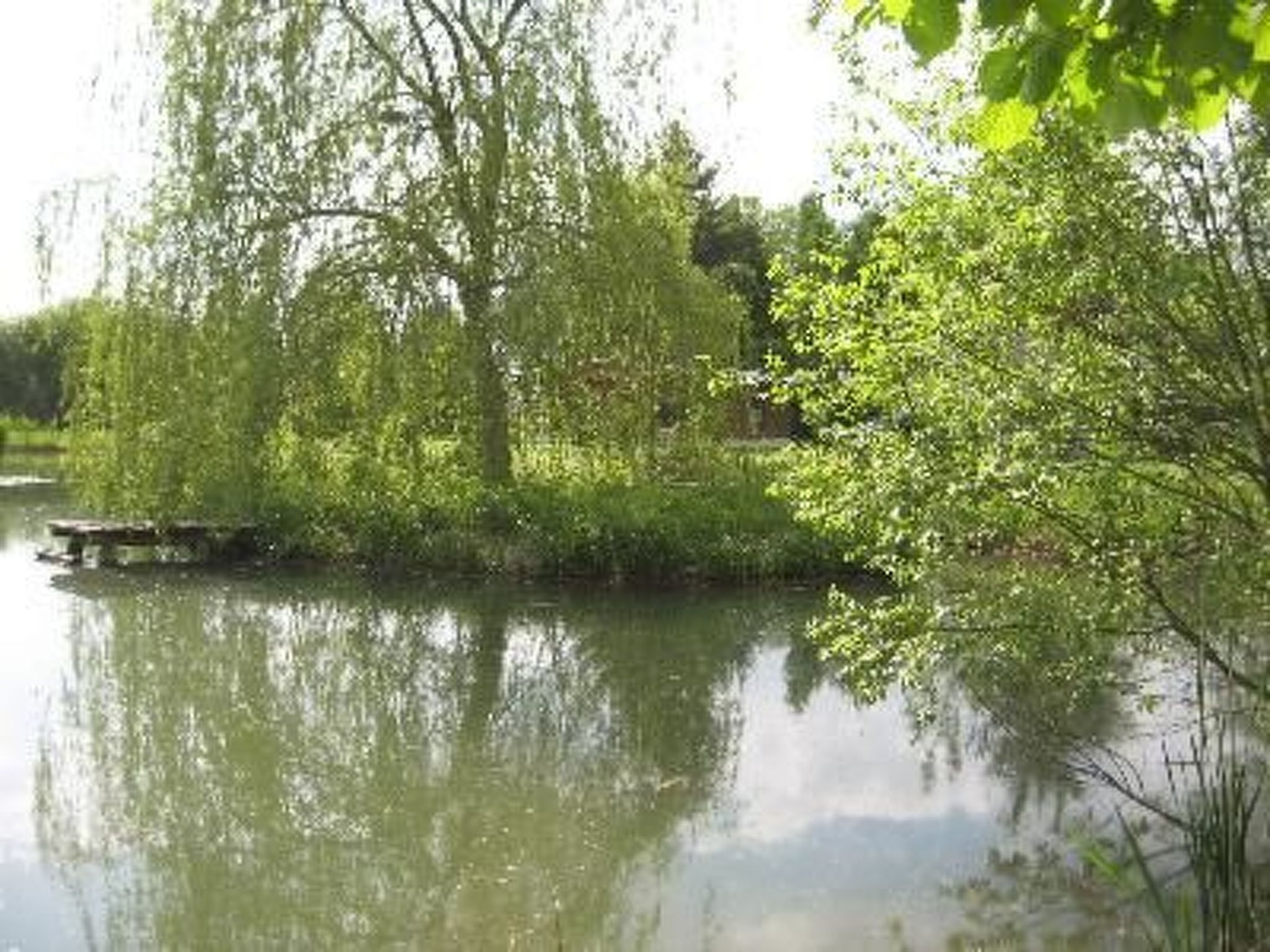 Mit naturnahen Badeteich-Image-tags.info