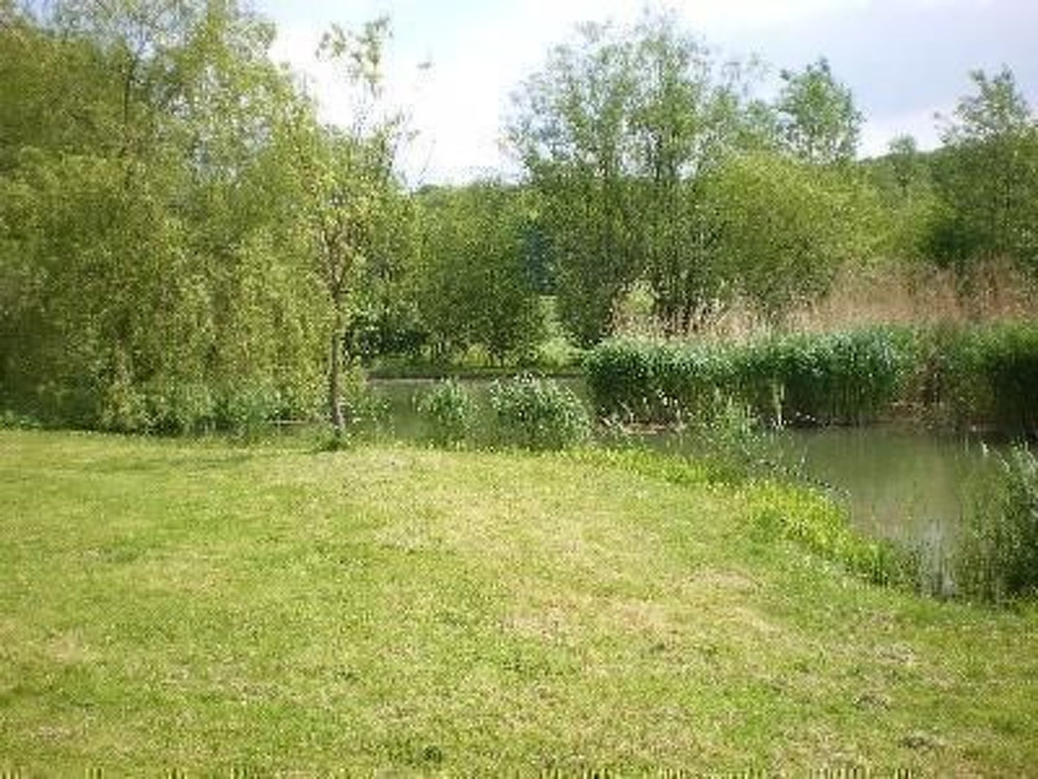 Mit naturnahen Badeteich-Image-tags.info