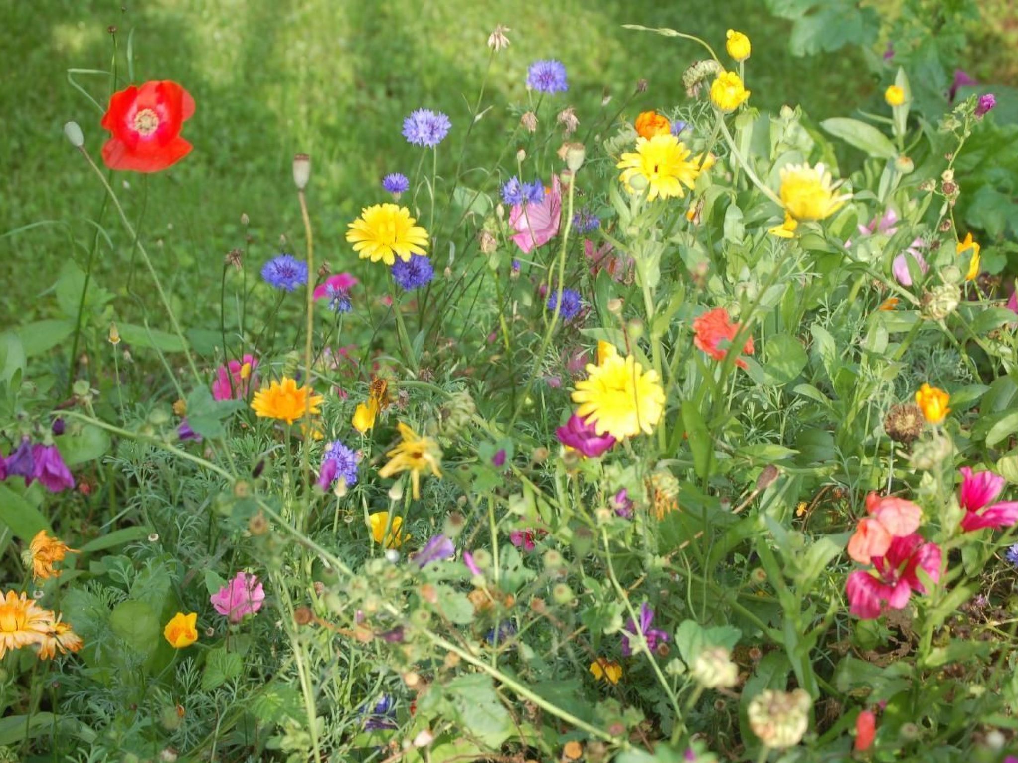 FeWo Nr 1 Harztor-Binnen